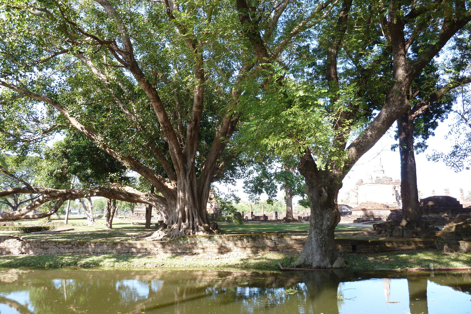 Picture Thailand Sukhothai 2010-12 94 - Journey Sukhothai