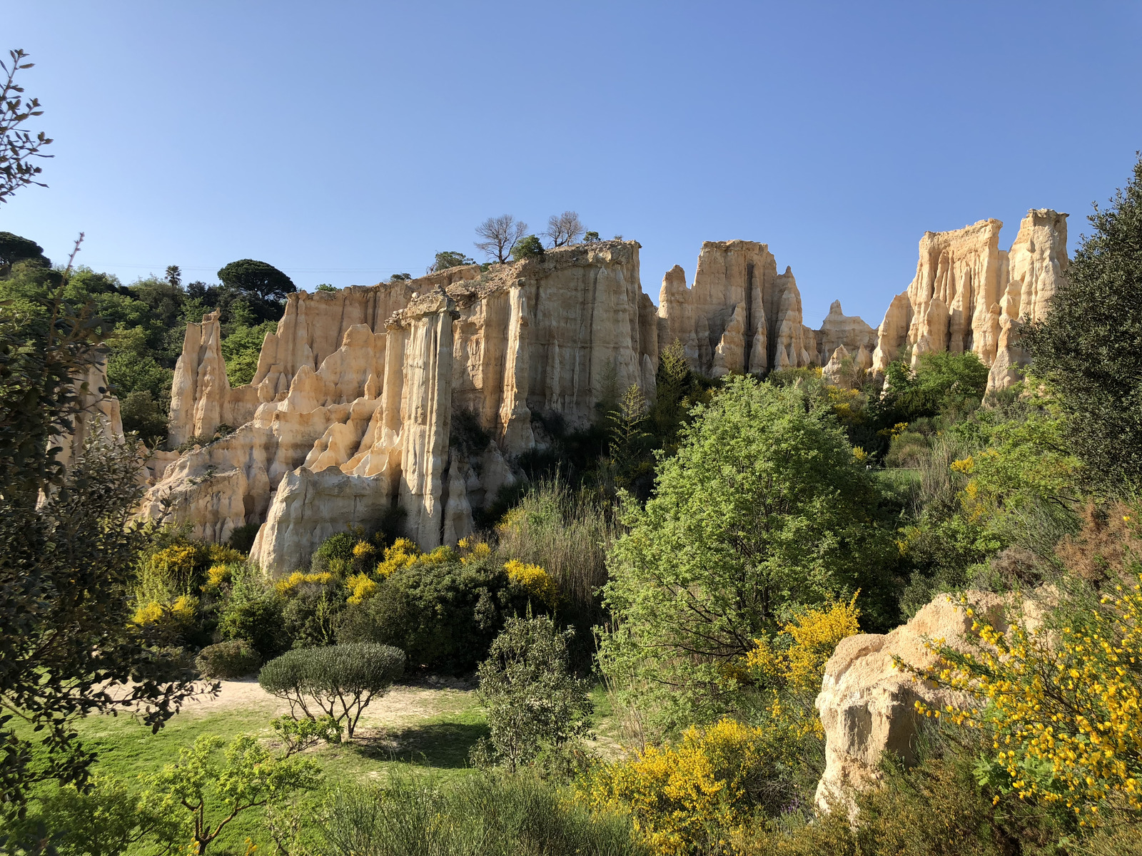 Picture France Orgues d'Ille Sur Tet 2018-04 81 - Photographers Orgues d'Ille Sur Tet