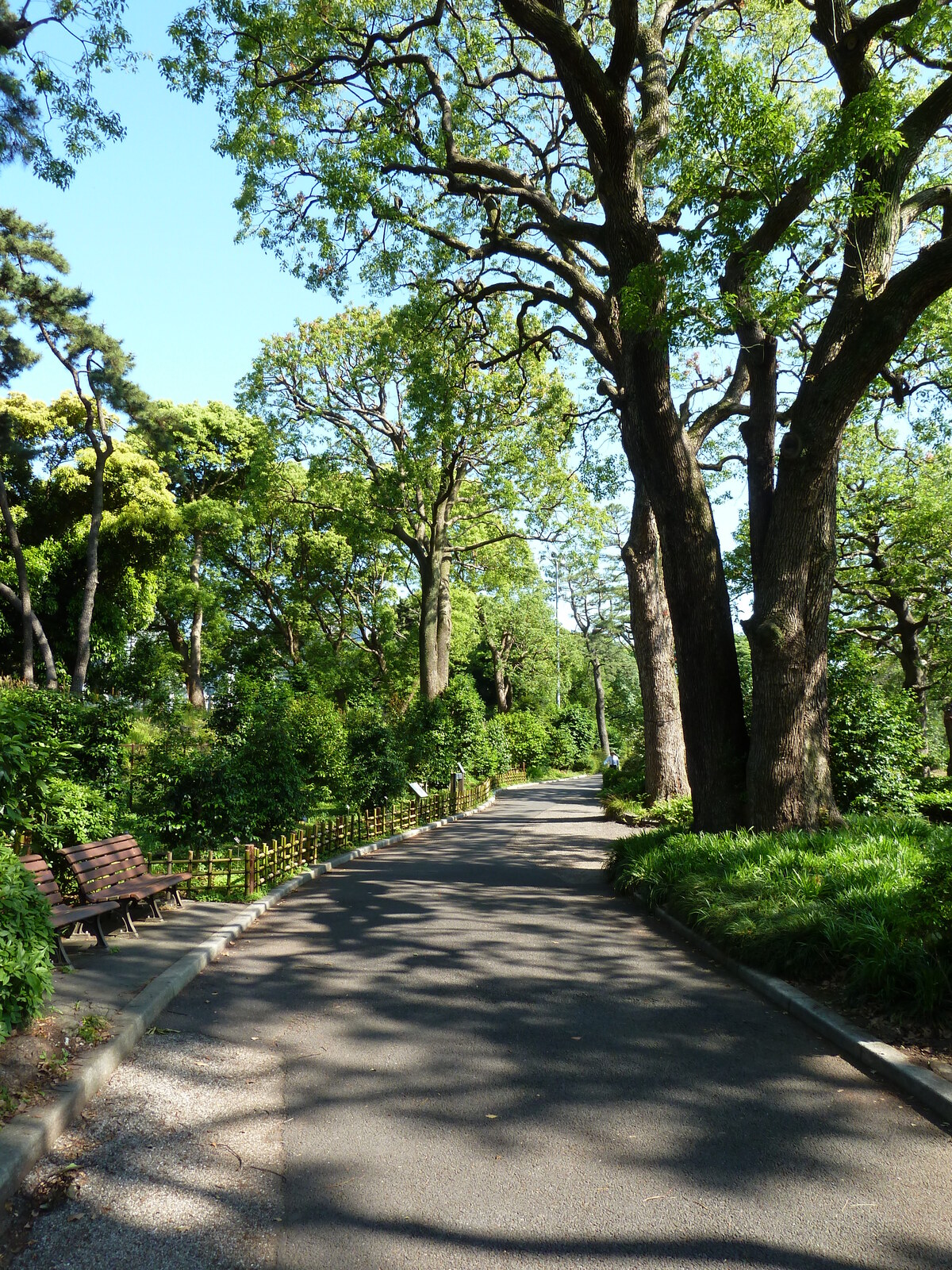 Picture Japan Tokyo Imperial Palace 2010-06 76 - Sightseeing Imperial Palace