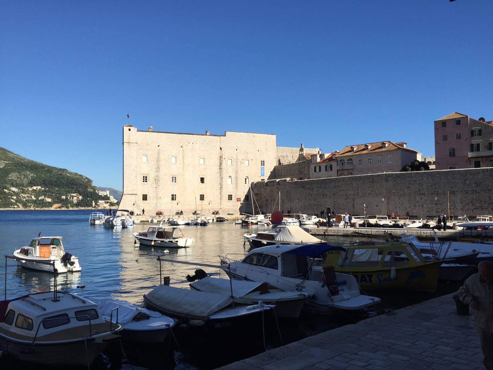 Picture Croatia Dubrovnik 2016-04 93 - Sight Dubrovnik