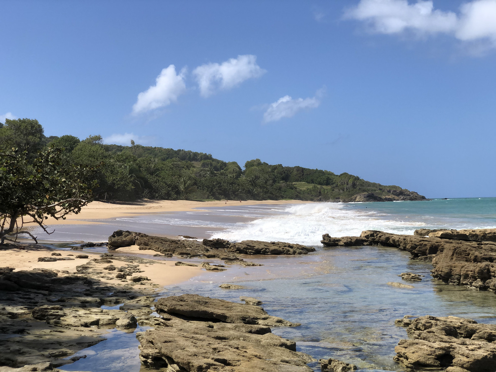 Picture Guadeloupe Clugny Beach 2021-02 9 - Perspective Clugny Beach