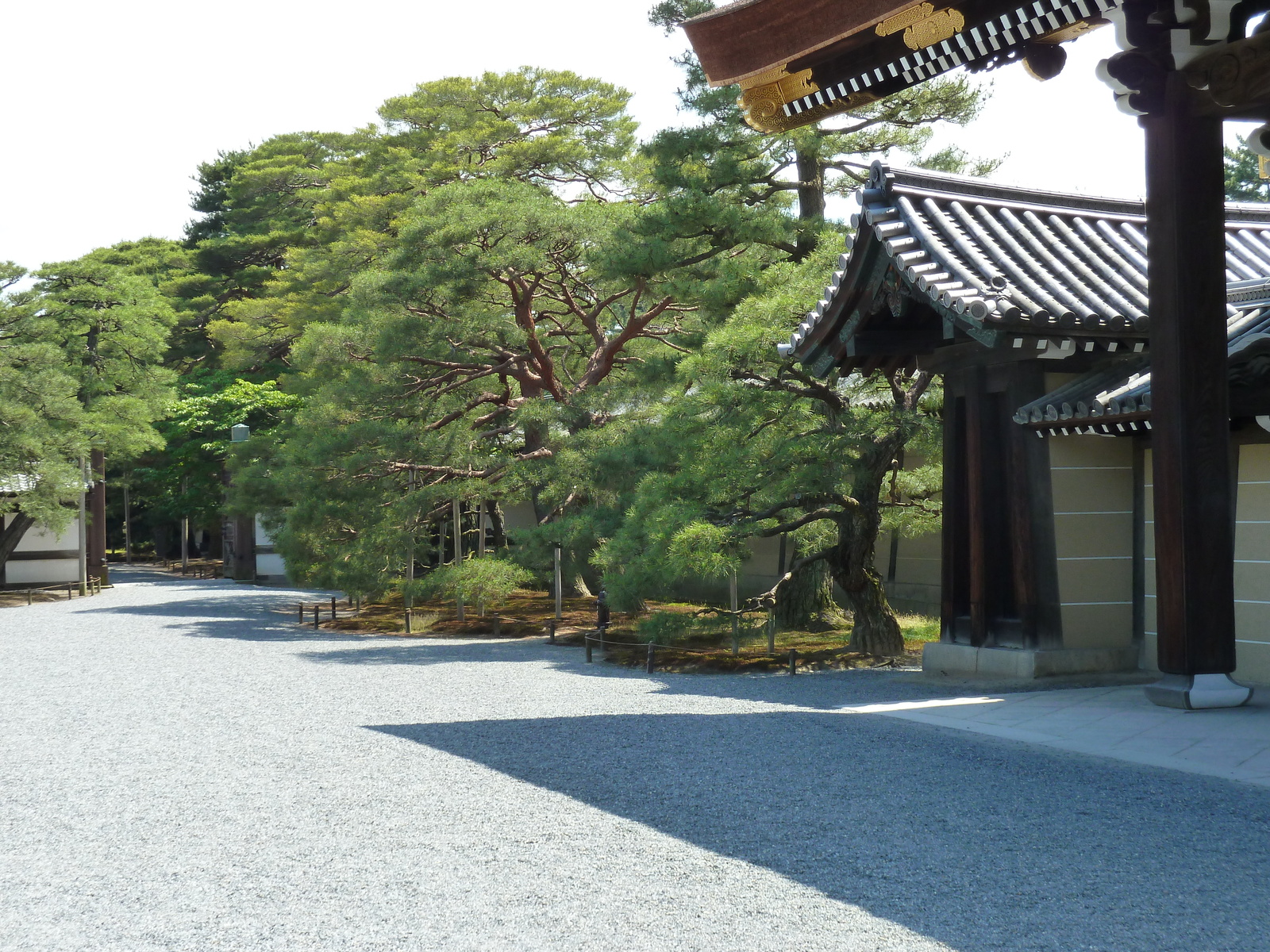 Picture Japan Kyoto Kyoto Imperial Palace 2010-06 138 - Views Kyoto Imperial Palace