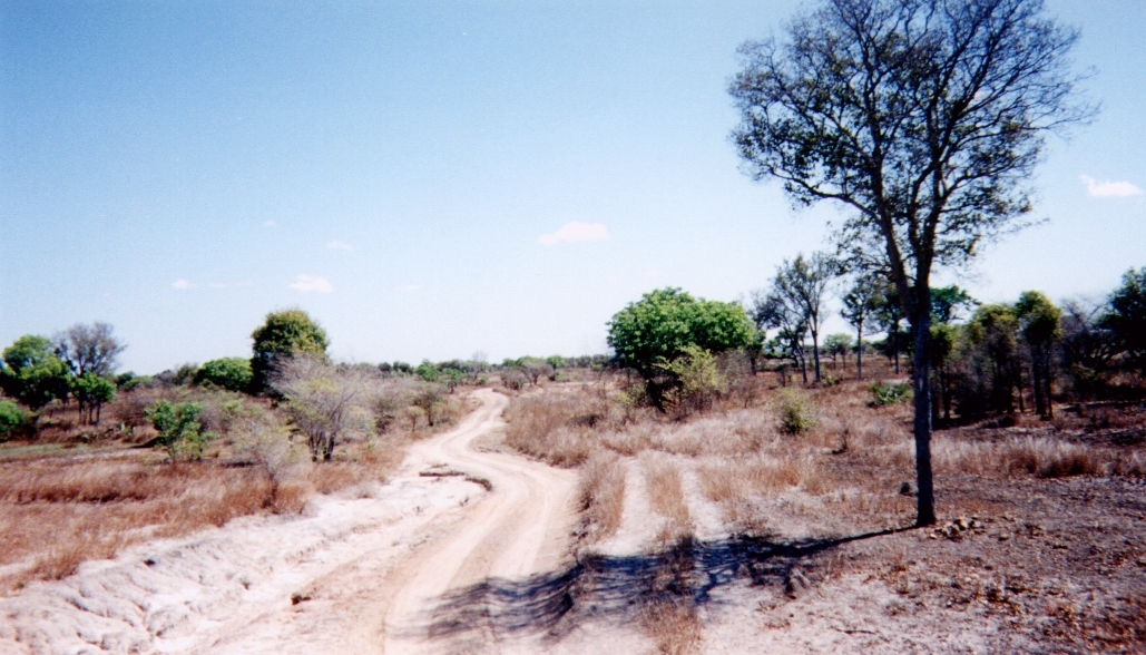 Picture Madagascar 1999-10 2 - Pictures Madagascar