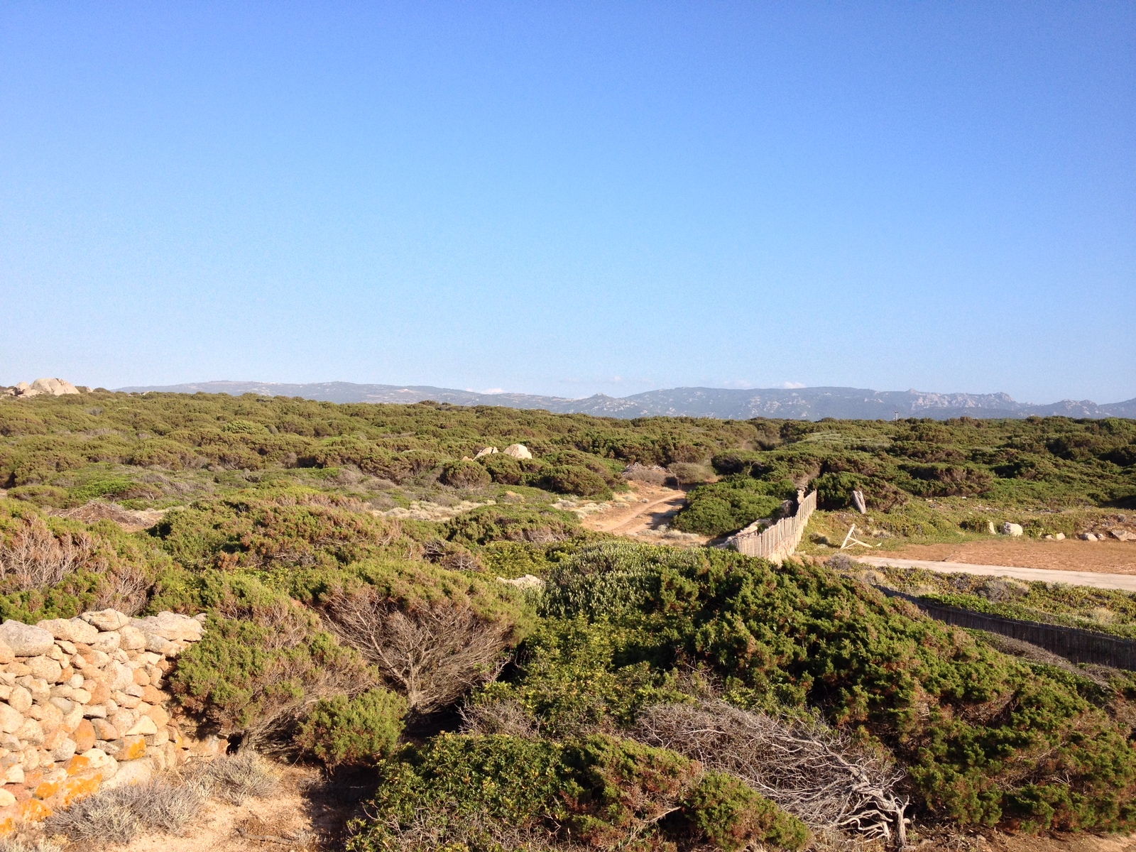 Picture Italy Sardinia Portobello di Gallura 2015-06 9 - Trip Portobello di Gallura