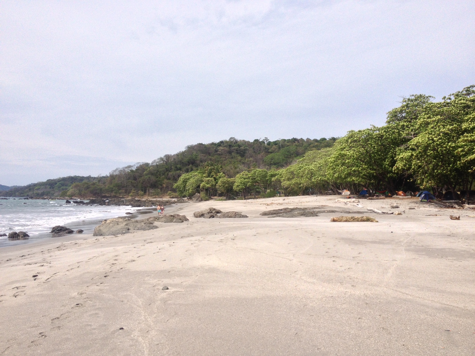 Picture Costa Rica Montezuma 2015-03 485 - Picture Montezuma