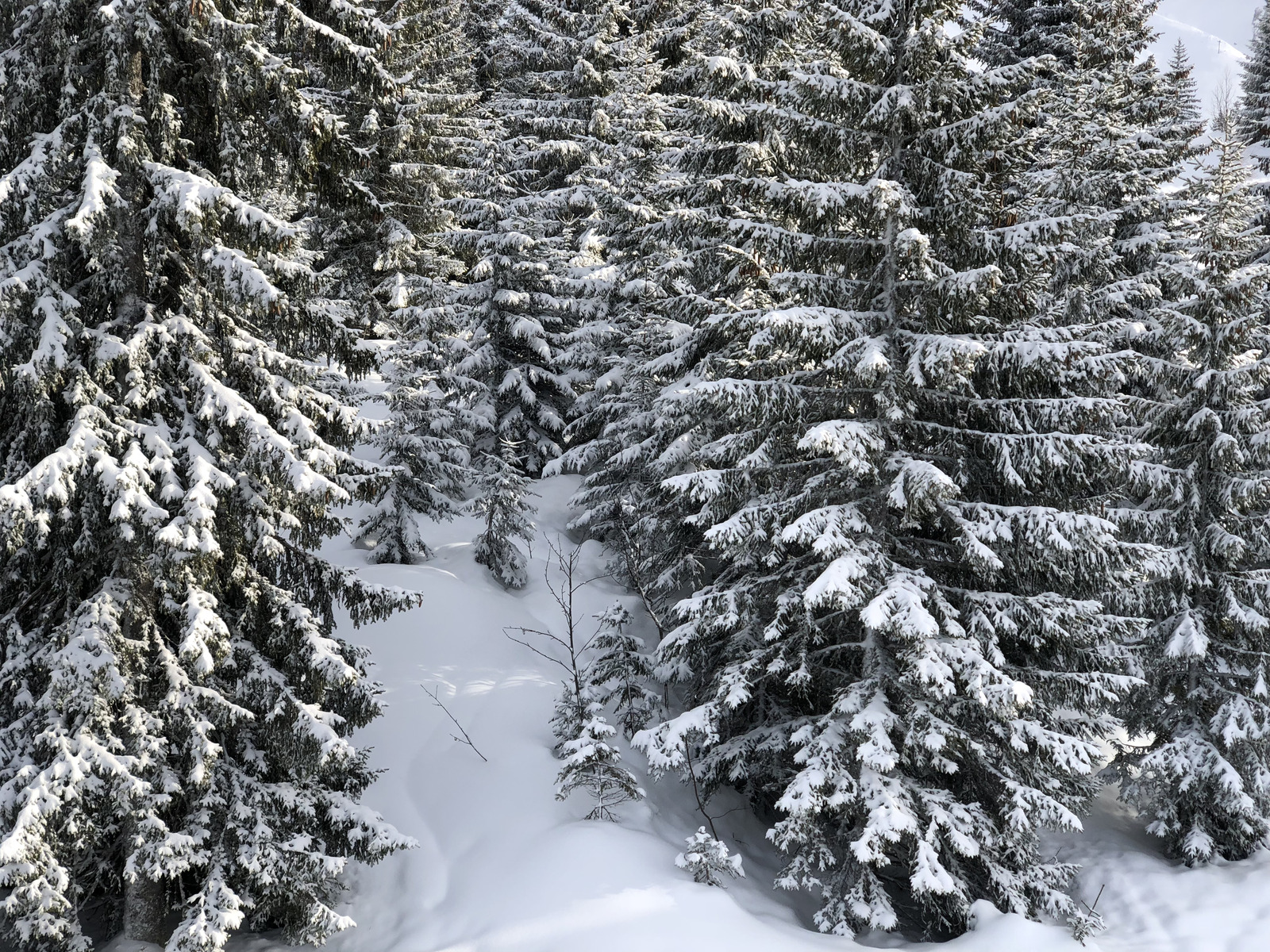 Picture France La Clusaz 2017-12 289 - Randonee La Clusaz