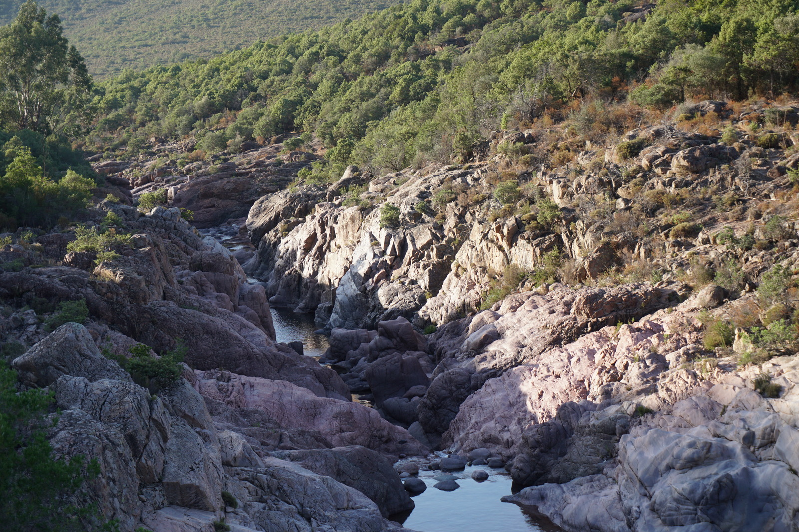 Picture France Corsica Fango river 2017-07 8 - Discover Fango river