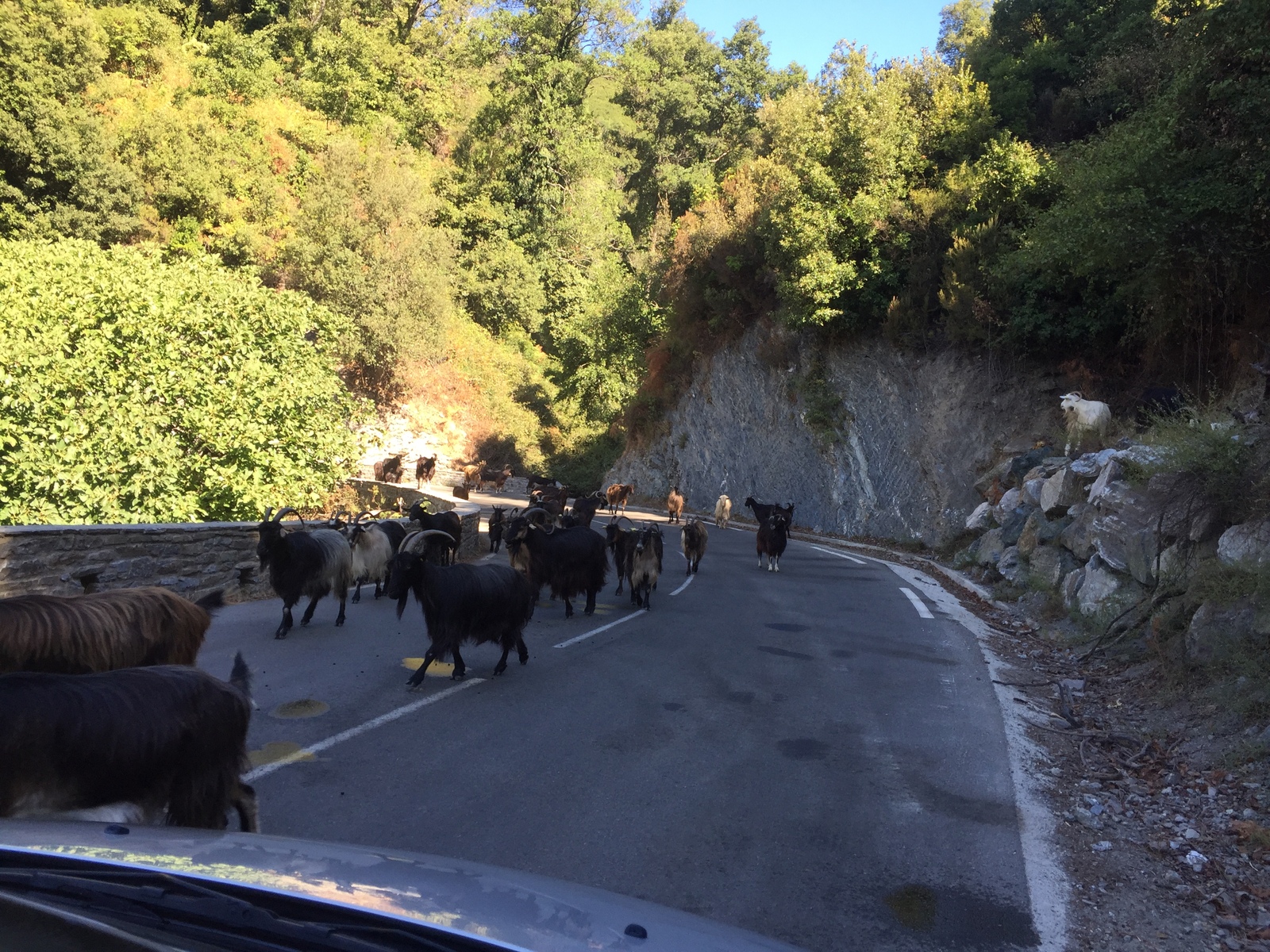 Picture France Corsica Felce 2017-09 10 - Perspective Felce