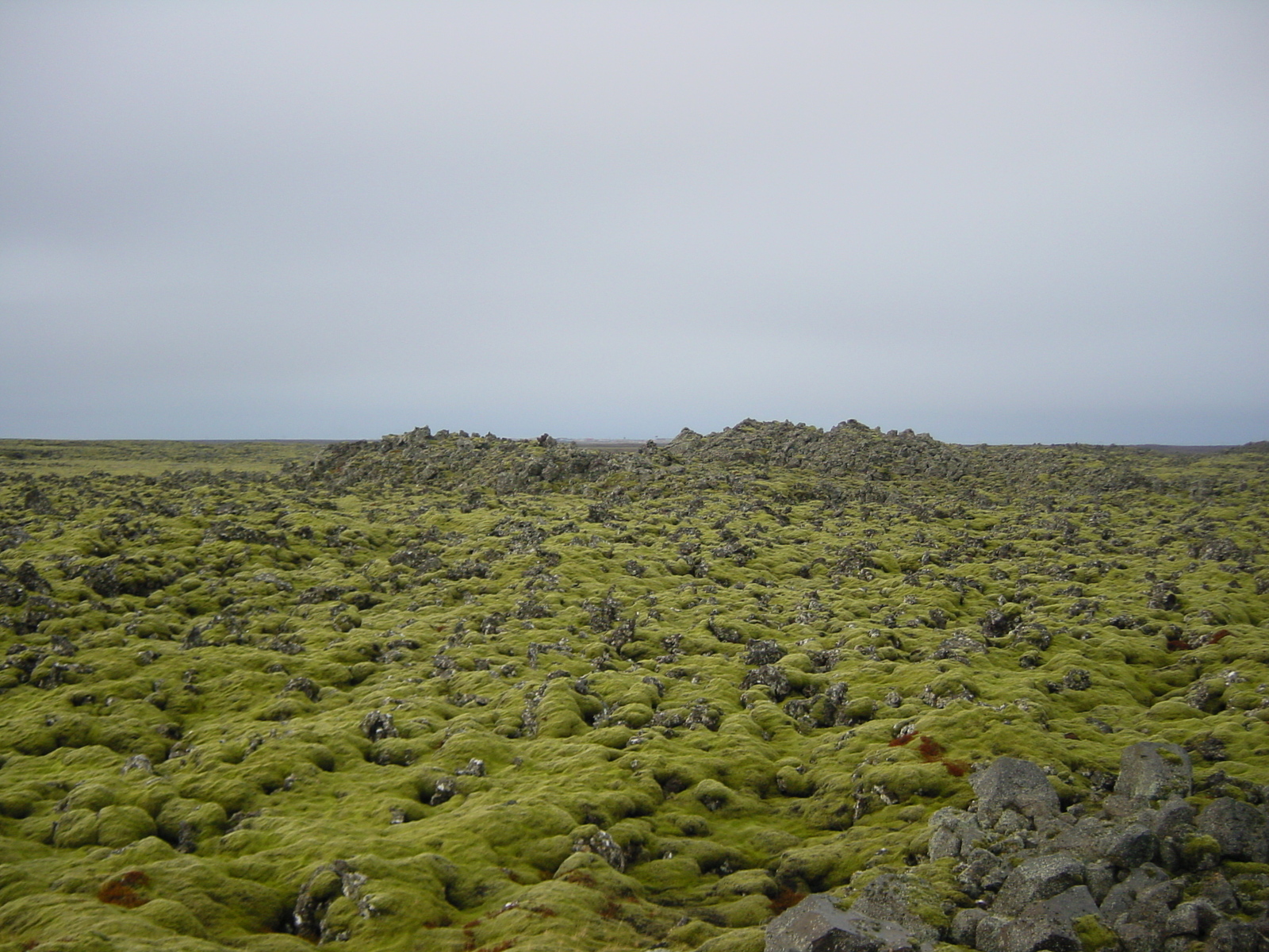 Picture Iceland Reykjanes 2003-03 4 - Travels Reykjanes