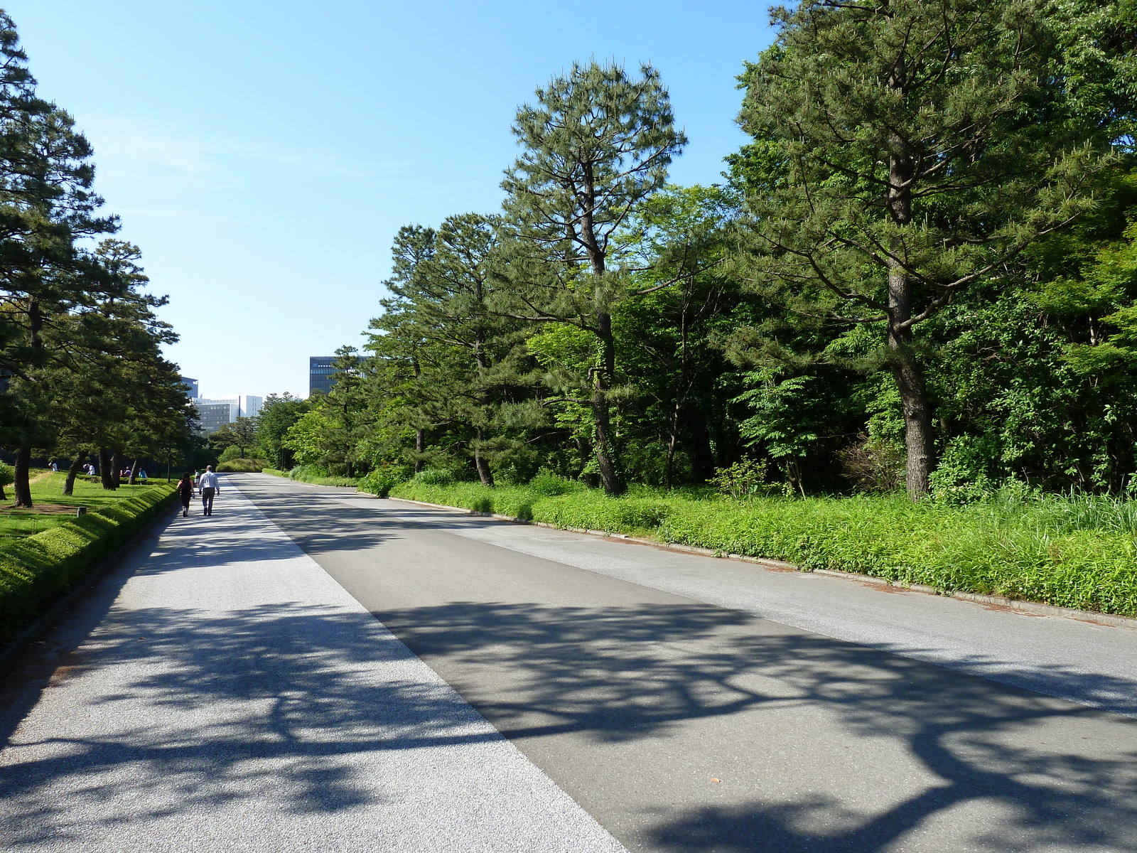 Picture Japan Tokyo Imperial Palace 2010-06 15 - Photos Imperial Palace