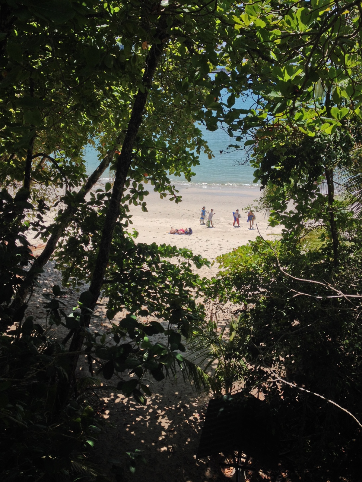 Picture Costa Rica Manuel Antonio 2015-03 277 - Sight Manuel Antonio