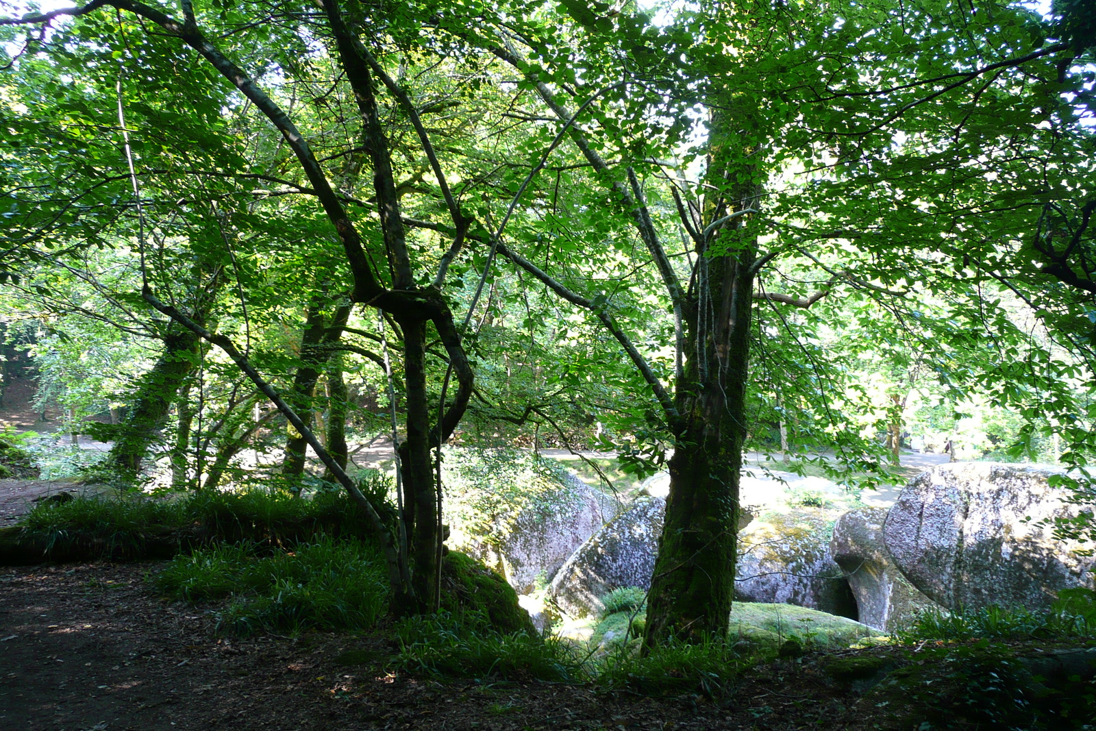 Picture France Huelgoat 2007-08 150 - Photo Huelgoat