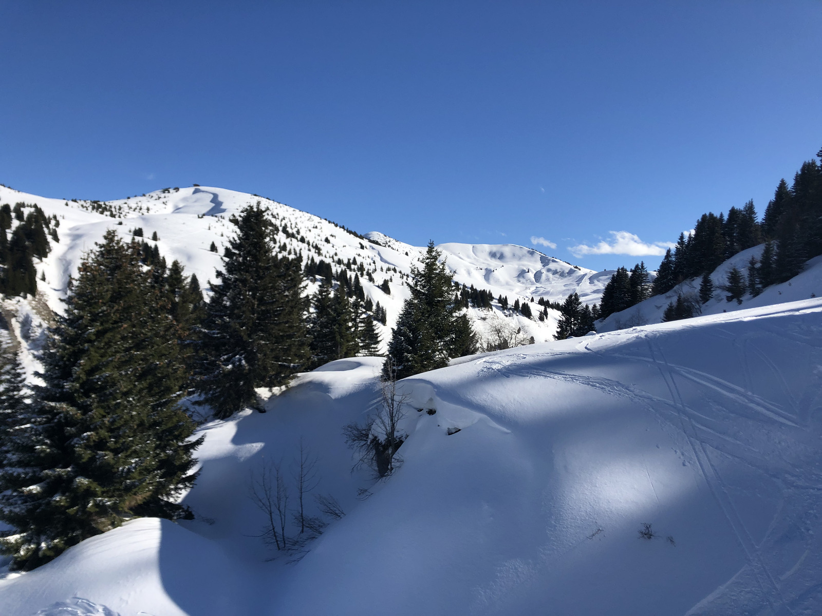 Picture France Megeve 2019-03 83 - Trips Megeve