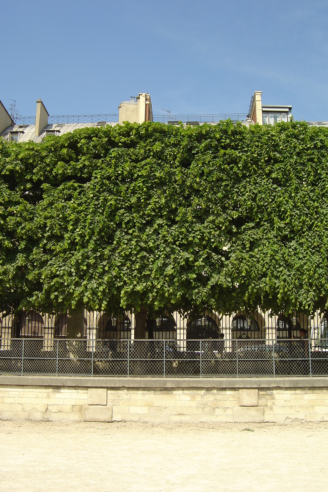 Picture France Paris Garden of Tuileries 2007-05 17 - Tourist Attraction Garden of Tuileries