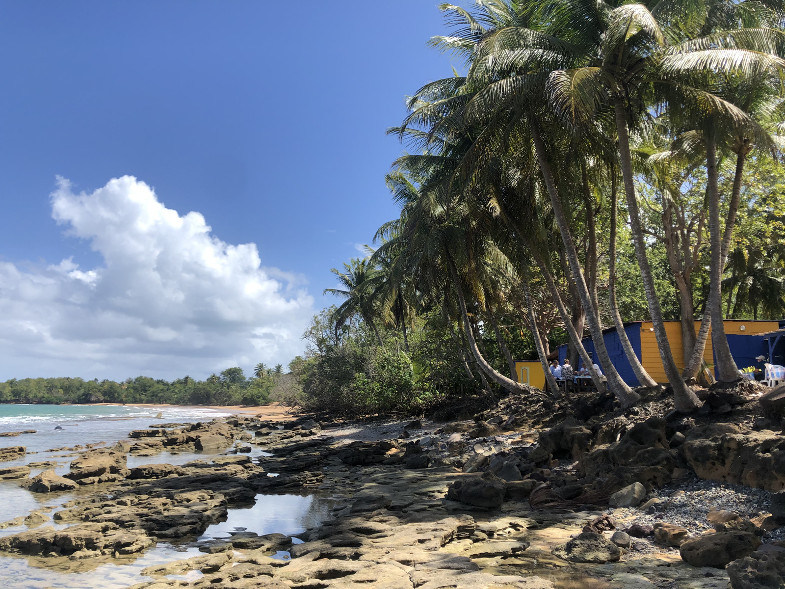 Picture Guadeloupe Clugny Beach 2021-02 15 - Tourist Places Clugny Beach