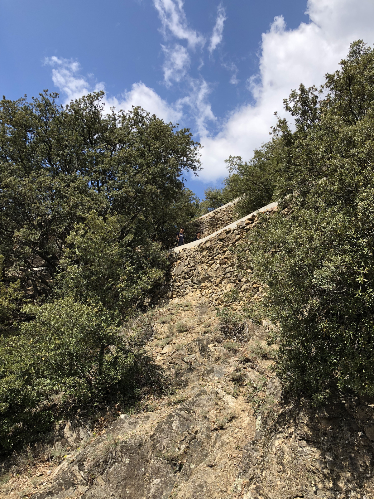 Picture France Abbaye Saint Martin du Canigou 2018-04 62 - Road Abbaye Saint Martin du Canigou