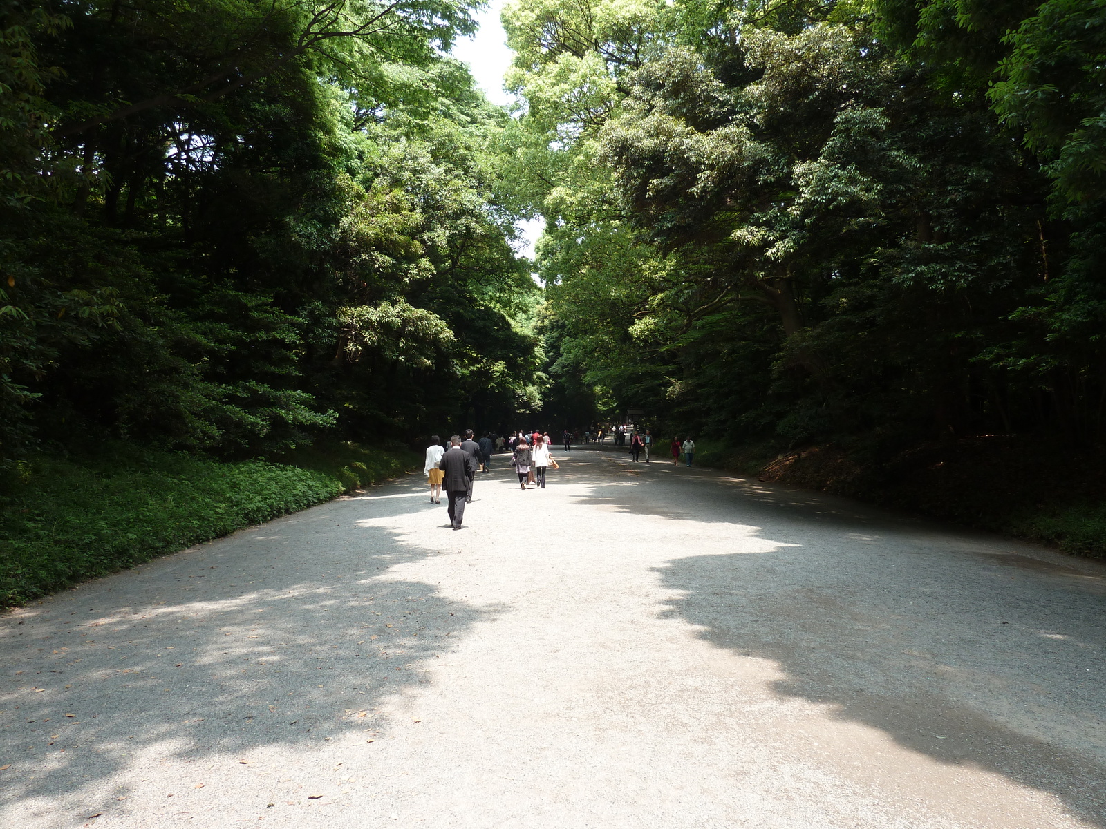 Picture Japan Tokyo Yoyogi Park 2010-06 15 - Car Yoyogi Park