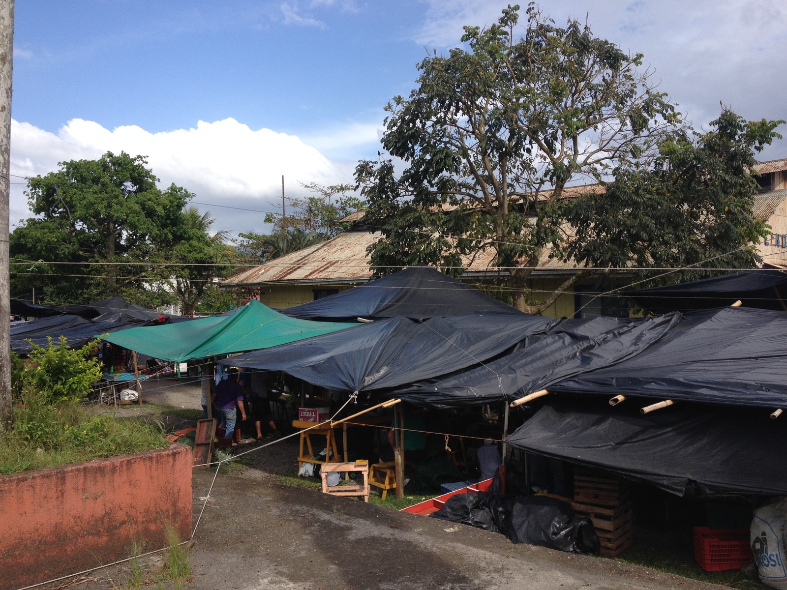 Picture Costa Rica Turrialba 2015-03 27 - Sight Turrialba