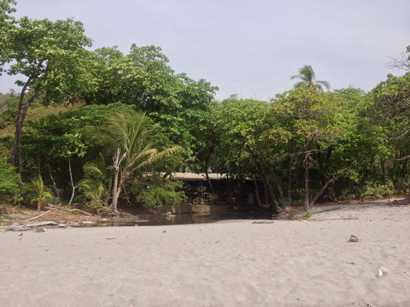 Picture Costa Rica Montezuma 2015-03 545 - Picture Montezuma