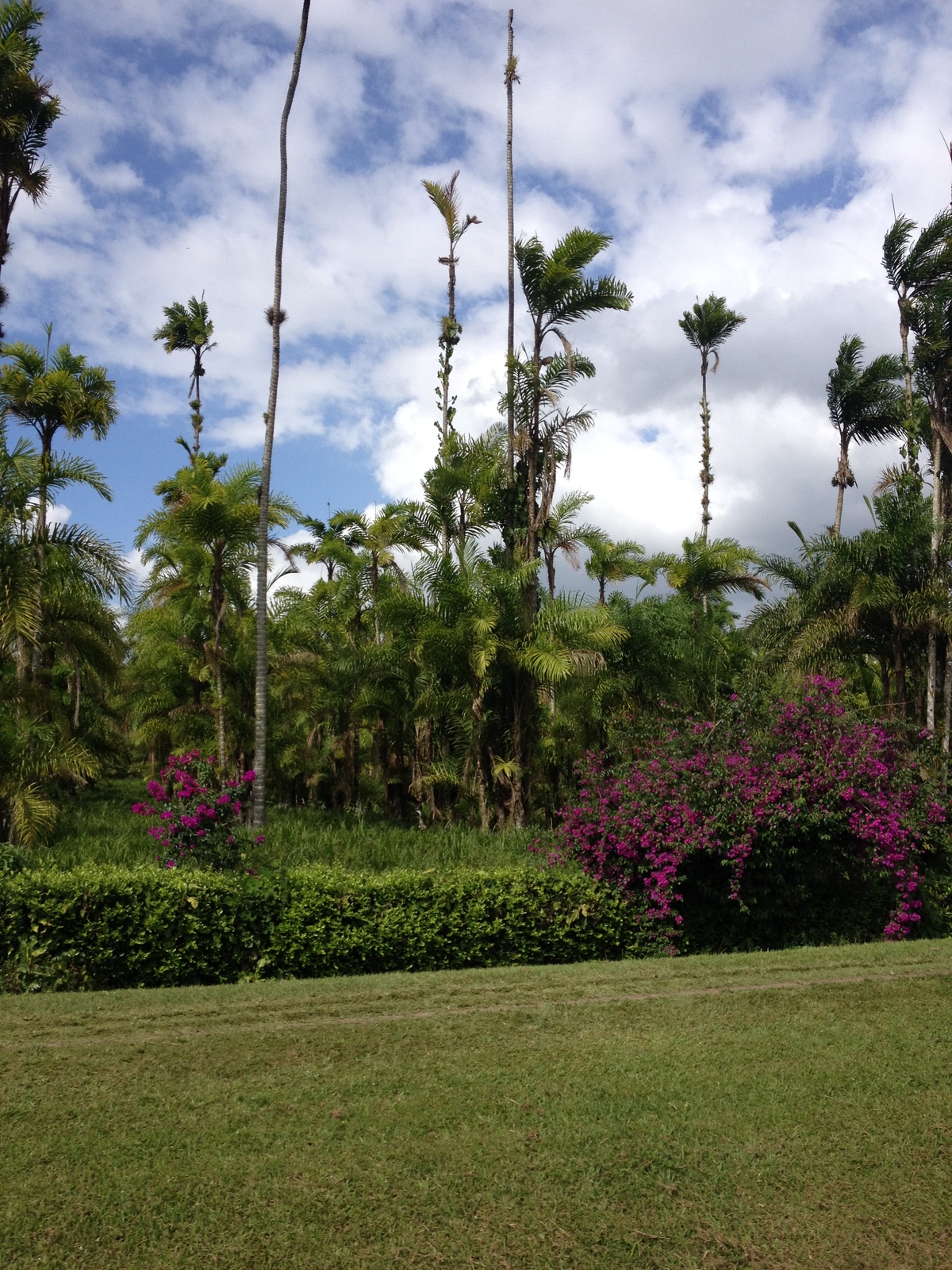 Picture Costa Rica Turrialba 2015-03 60 - Perspective Turrialba