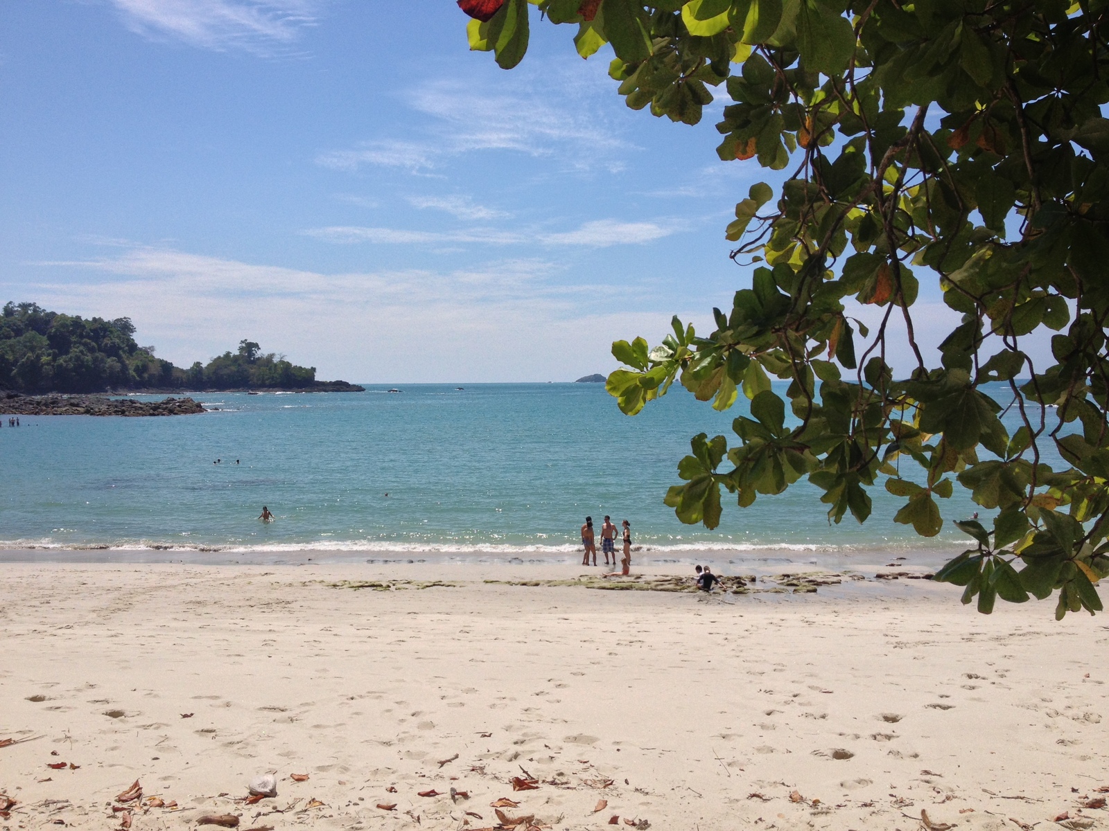 Picture Costa Rica Manuel Antonio 2015-03 165 - Sight Manuel Antonio