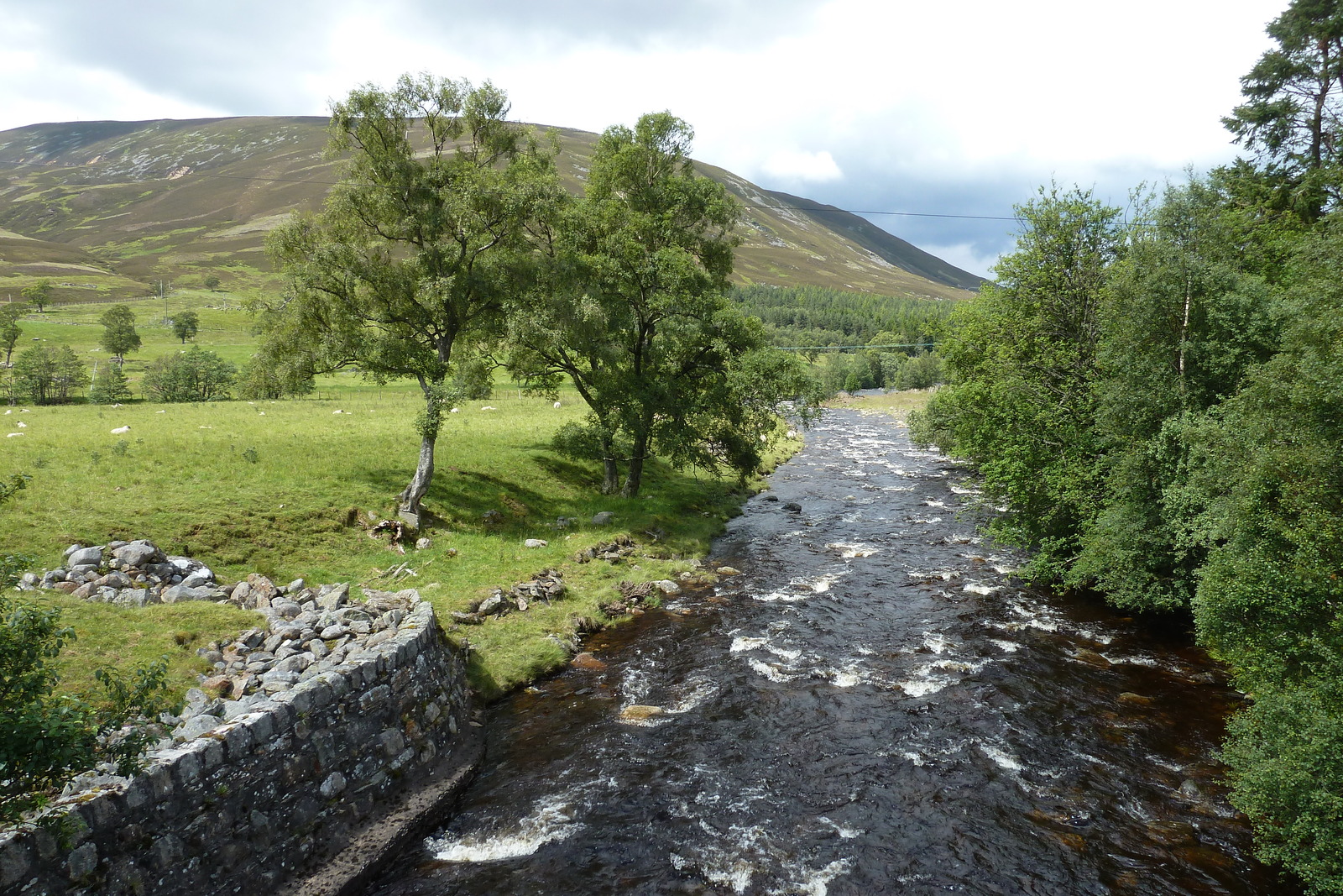 Picture United Kingdom Cairngorms National Park 2011-07 94 - Tourist Cairngorms National Park