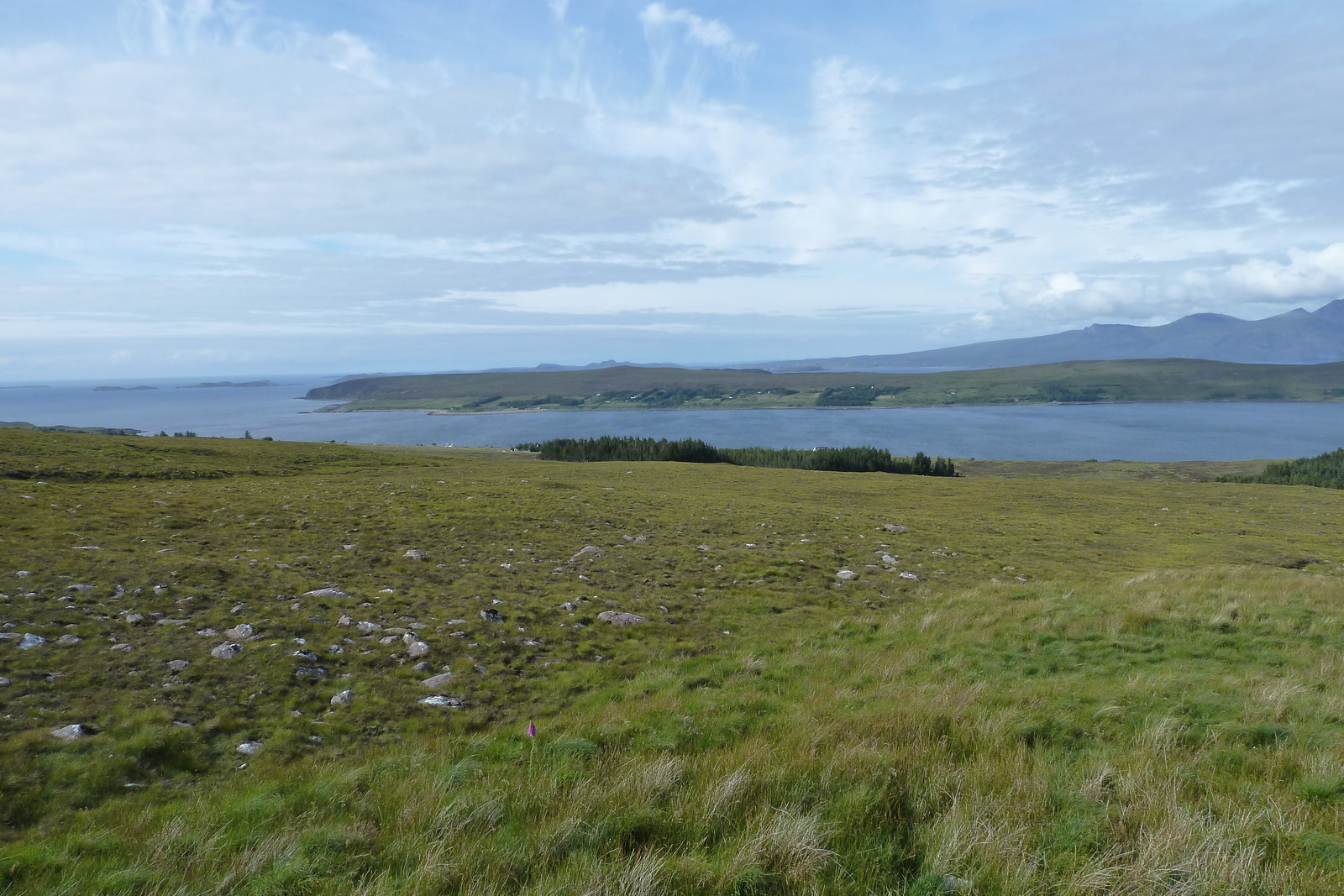 Picture United Kingdom Wester Ross 2011-07 128 - Car Wester Ross