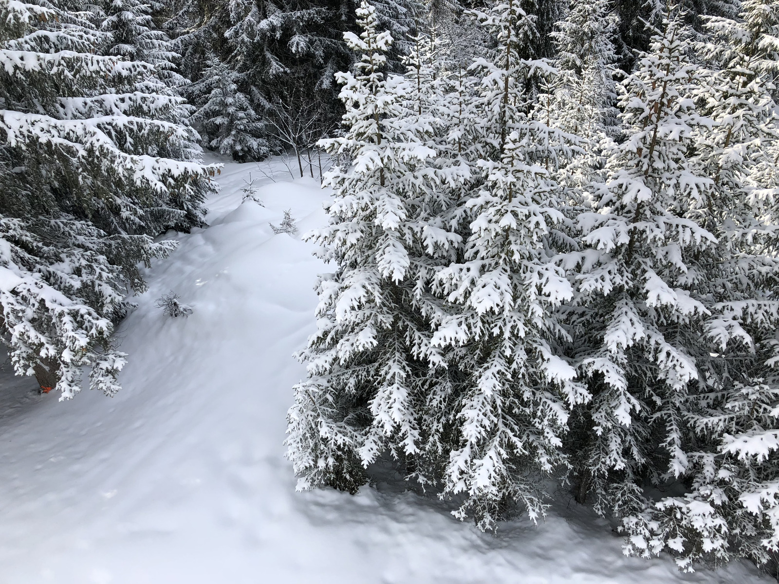 Picture France La Clusaz 2017-12 35 - Trip La Clusaz