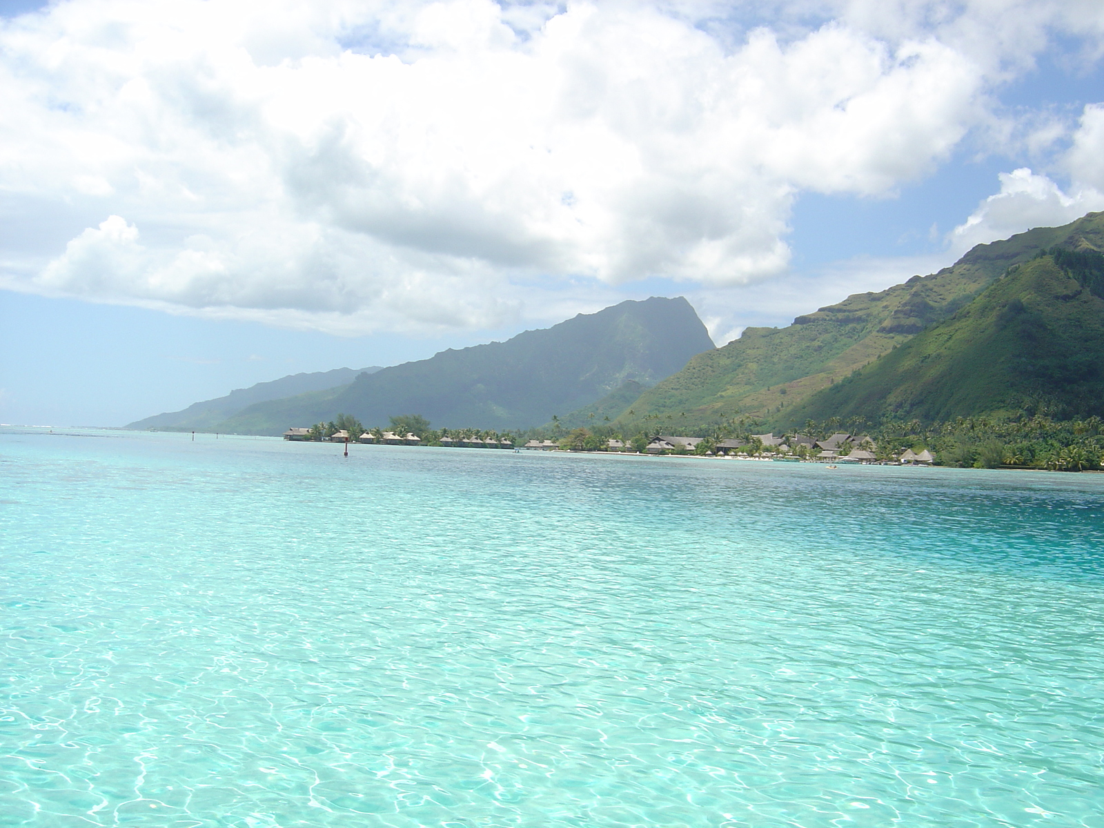 Picture Polynesia Moorea 2006-04 44 - Flights Moorea