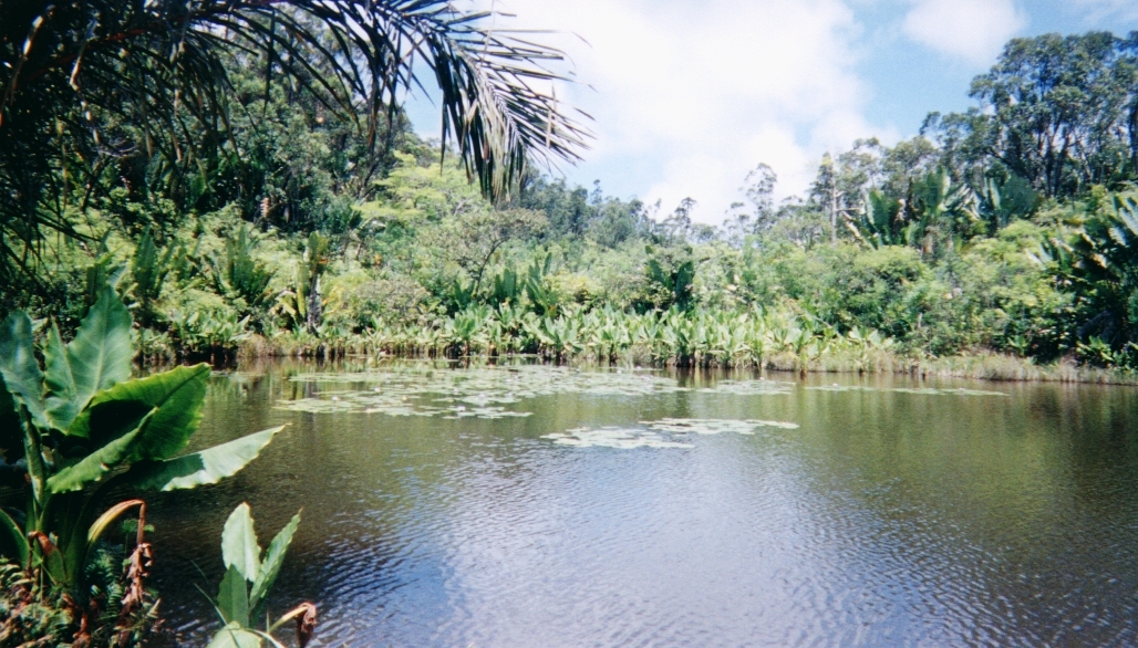 Picture Madagascar 1999-10 31 - Travels Madagascar