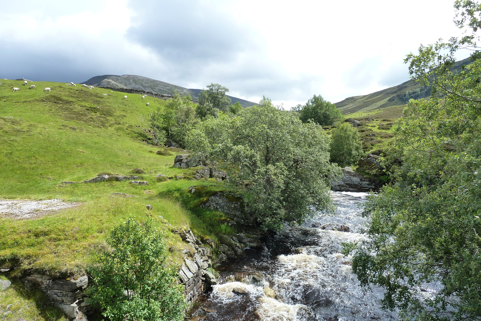 Picture United Kingdom Scotland 2011-07 87 - Photos Scotland