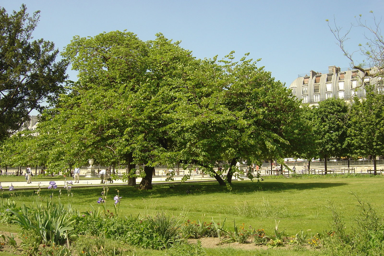 Picture France Paris Garden of Tuileries 2007-05 158 - View Garden of Tuileries