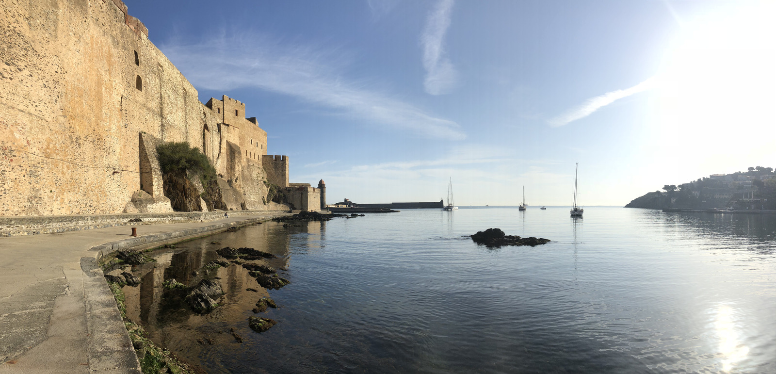 Picture France Collioure 2018-04 325 - Trip Collioure