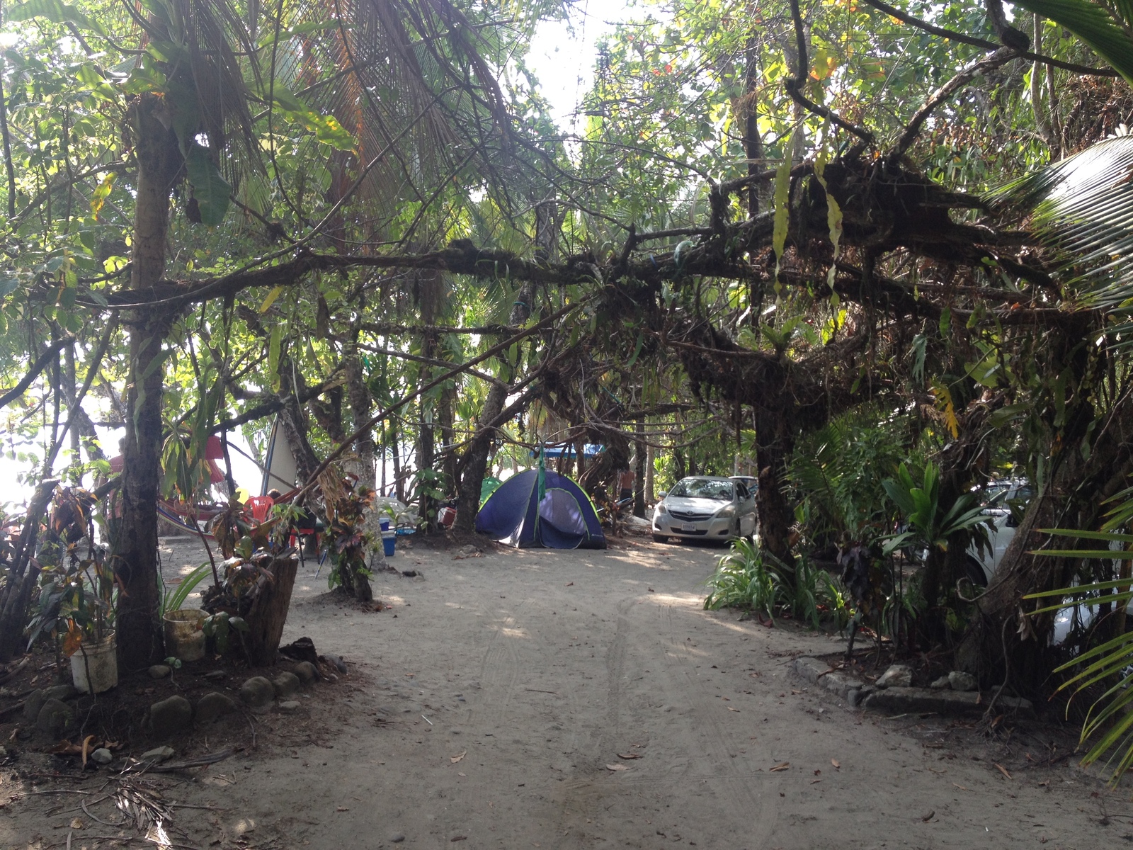 Picture Costa Rica Manuel Antonio 2015-03 244 - Perspective Manuel Antonio