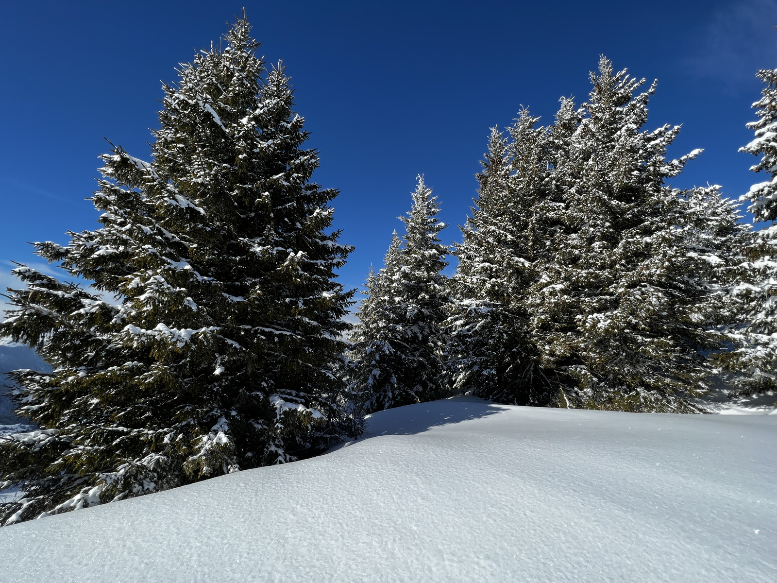 Picture France Megeve 2022-02 68 - Trip Megeve