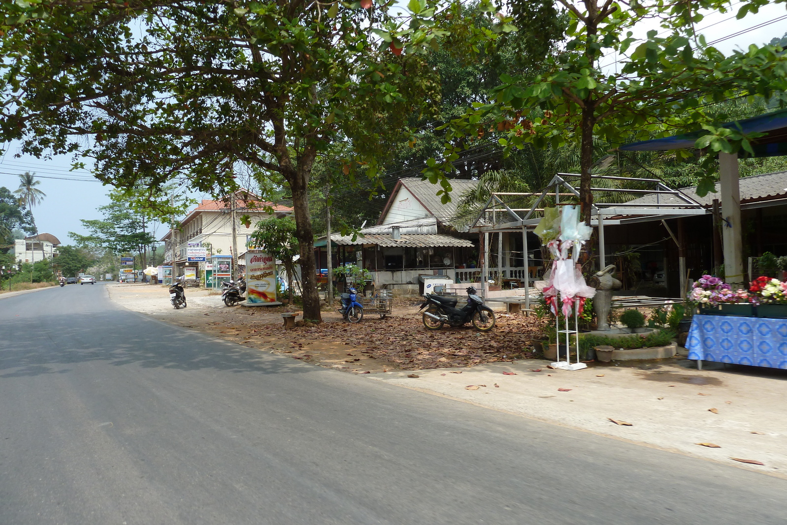 Picture Thailand Ko Chang Island road 2011-02 59 - View Island road