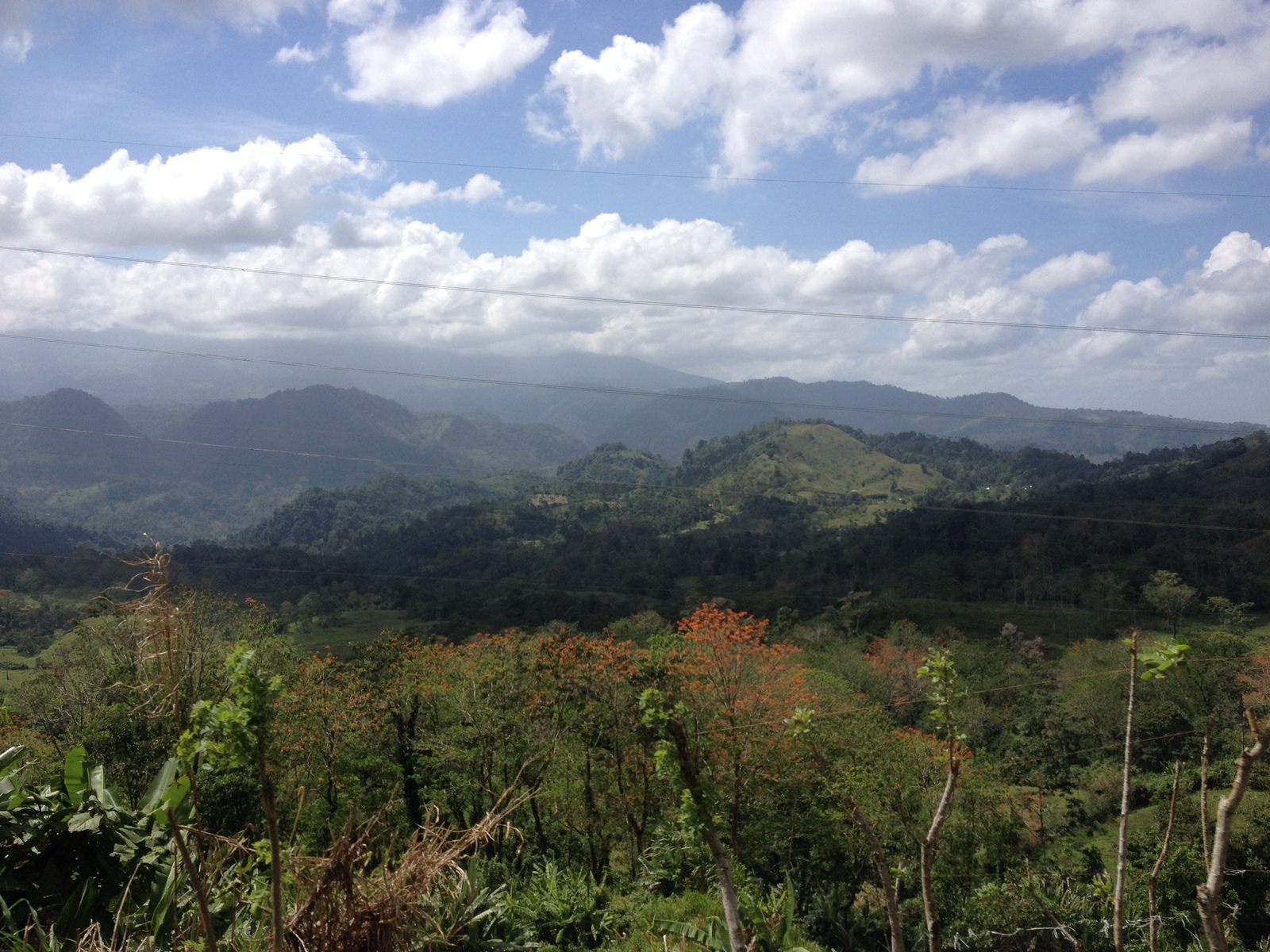 Picture Costa Rica Turrialba 2015-03 19 - Picture Turrialba