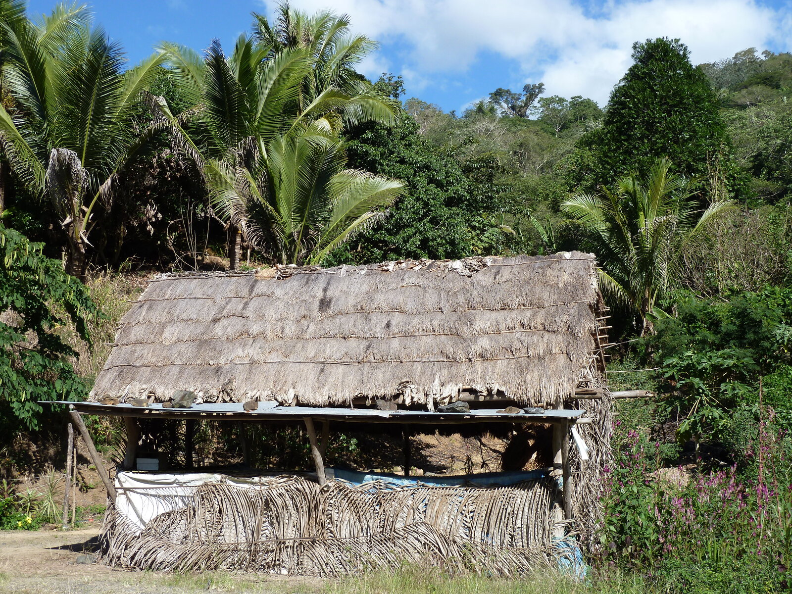 Picture New Caledonia Canala to La Foa road 2010-05 47 - Photographer Canala to La Foa road