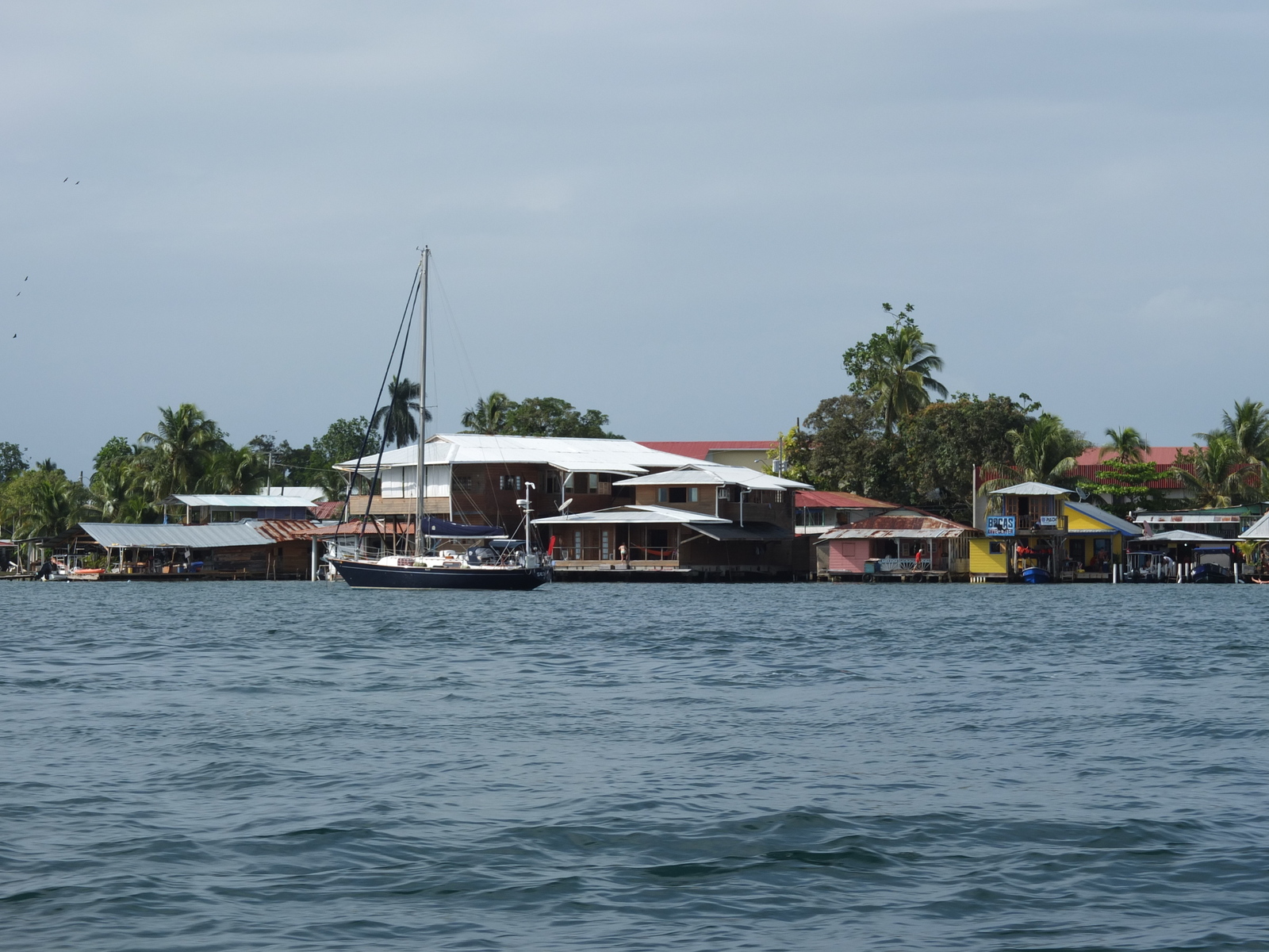 Picture Panama Bocas del toro 2015-03 44 - Photographers Bocas del toro