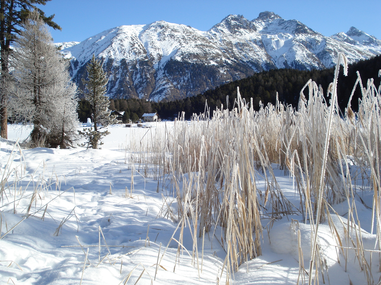 Picture Swiss St Moritz Schlarigna 2007-01 83 - Road Map St Moritz Schlarigna