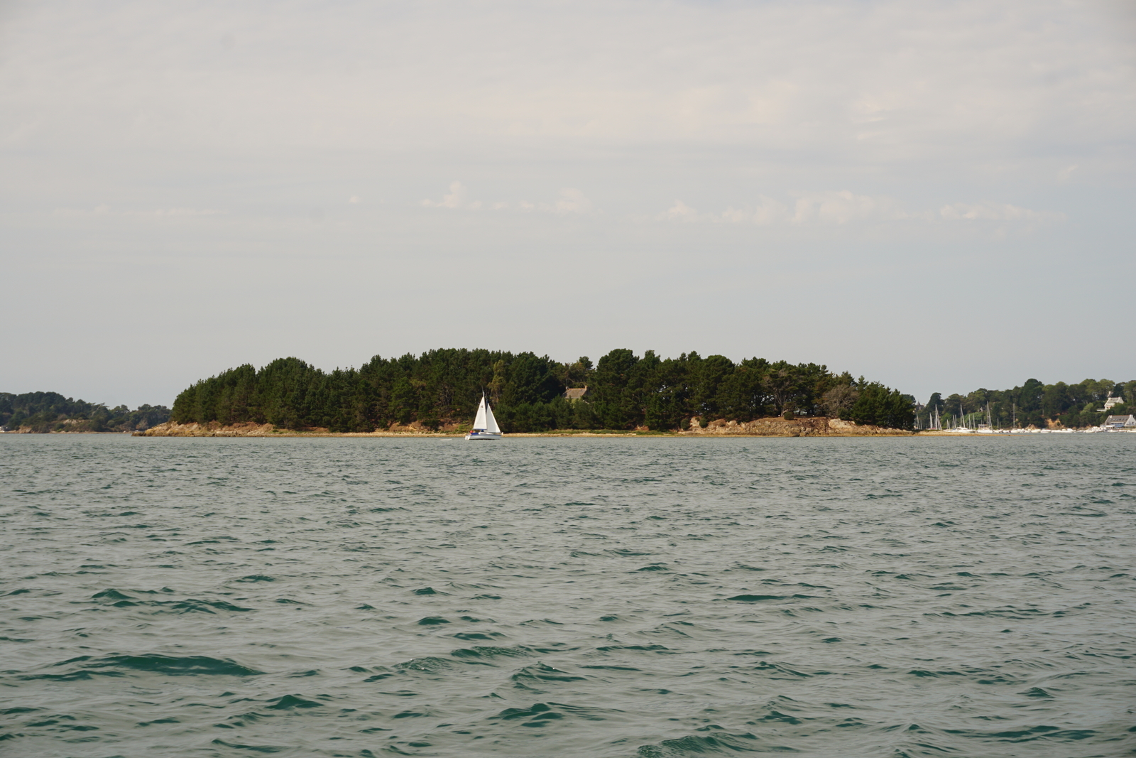 Picture France Golfe du Morbihan 2016-08 73 - Car Golfe du Morbihan