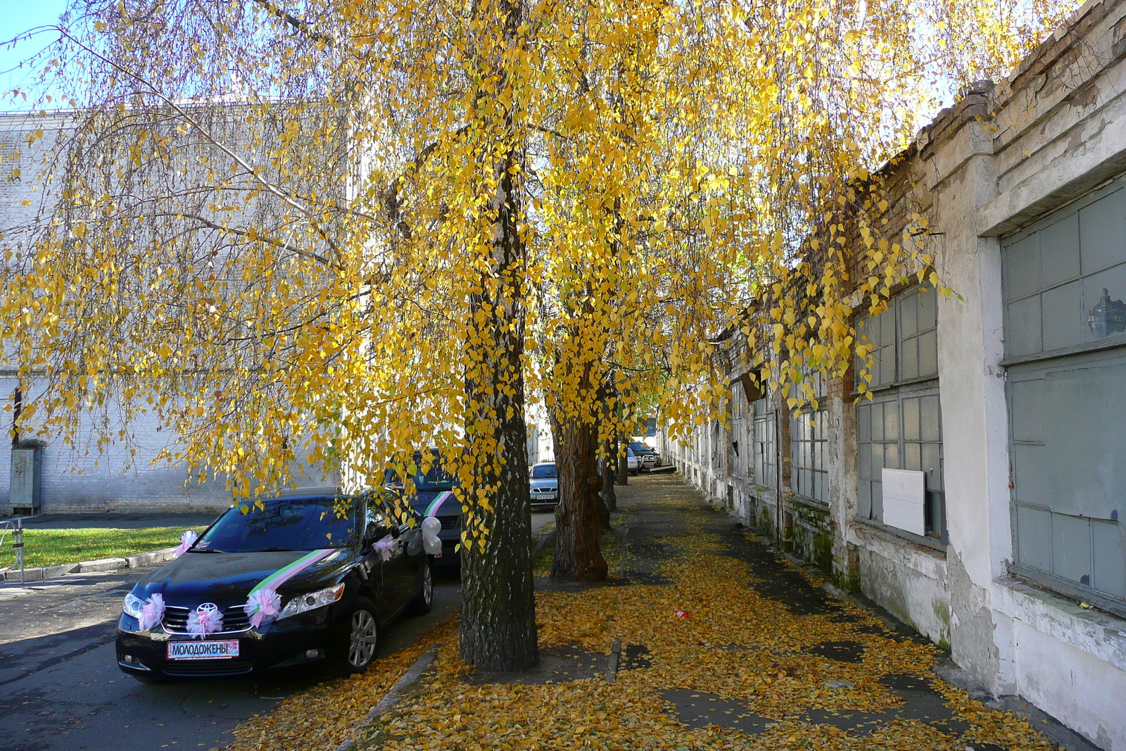 Picture Ukraine Kiev Pechersk Lavra 2007-11 6 - Car Rental Pechersk Lavra