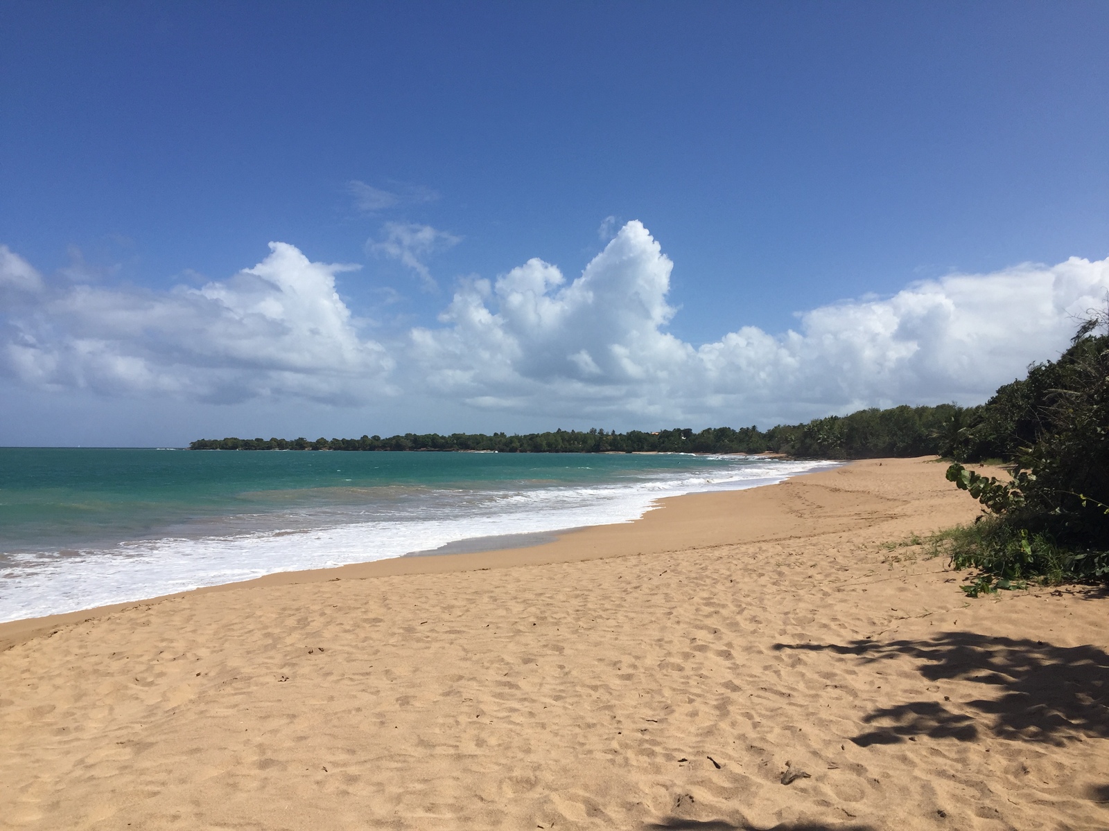 Picture Guadeloupe Deshaies 2021-02 3 - View Deshaies