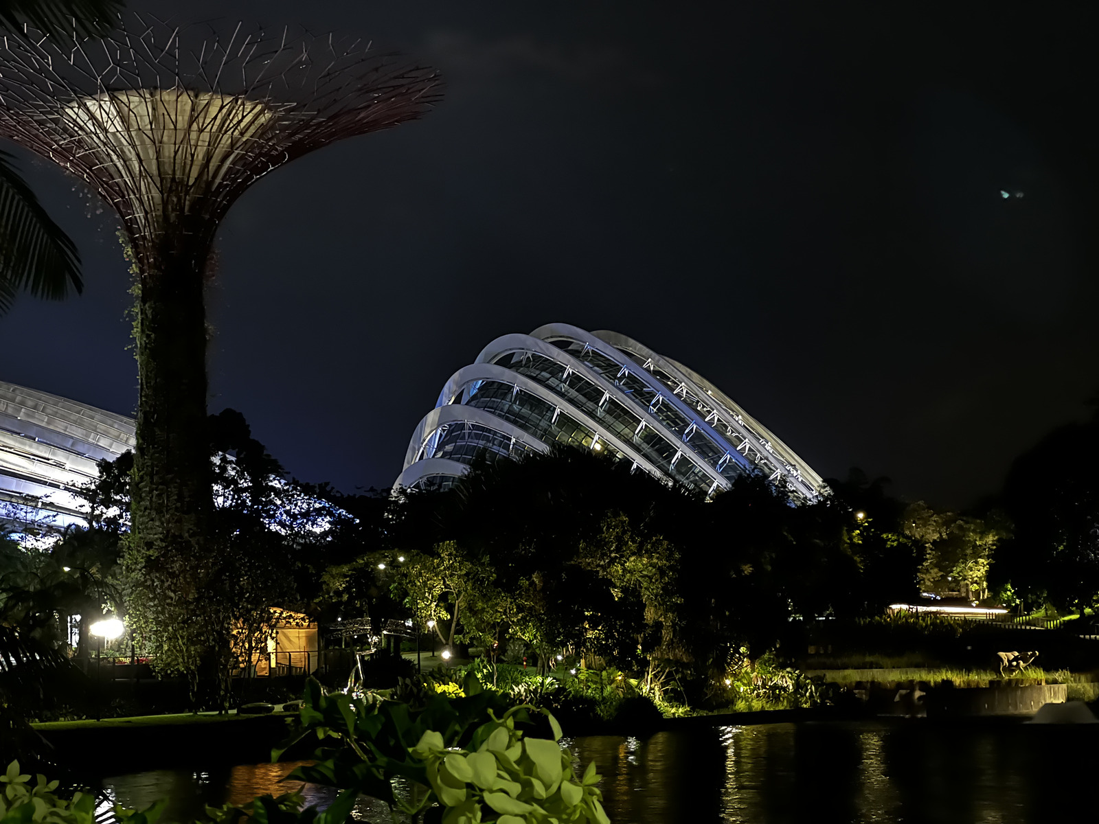 Picture Singapore Garden by the bay 2023-01 19 - Road Garden by the bay