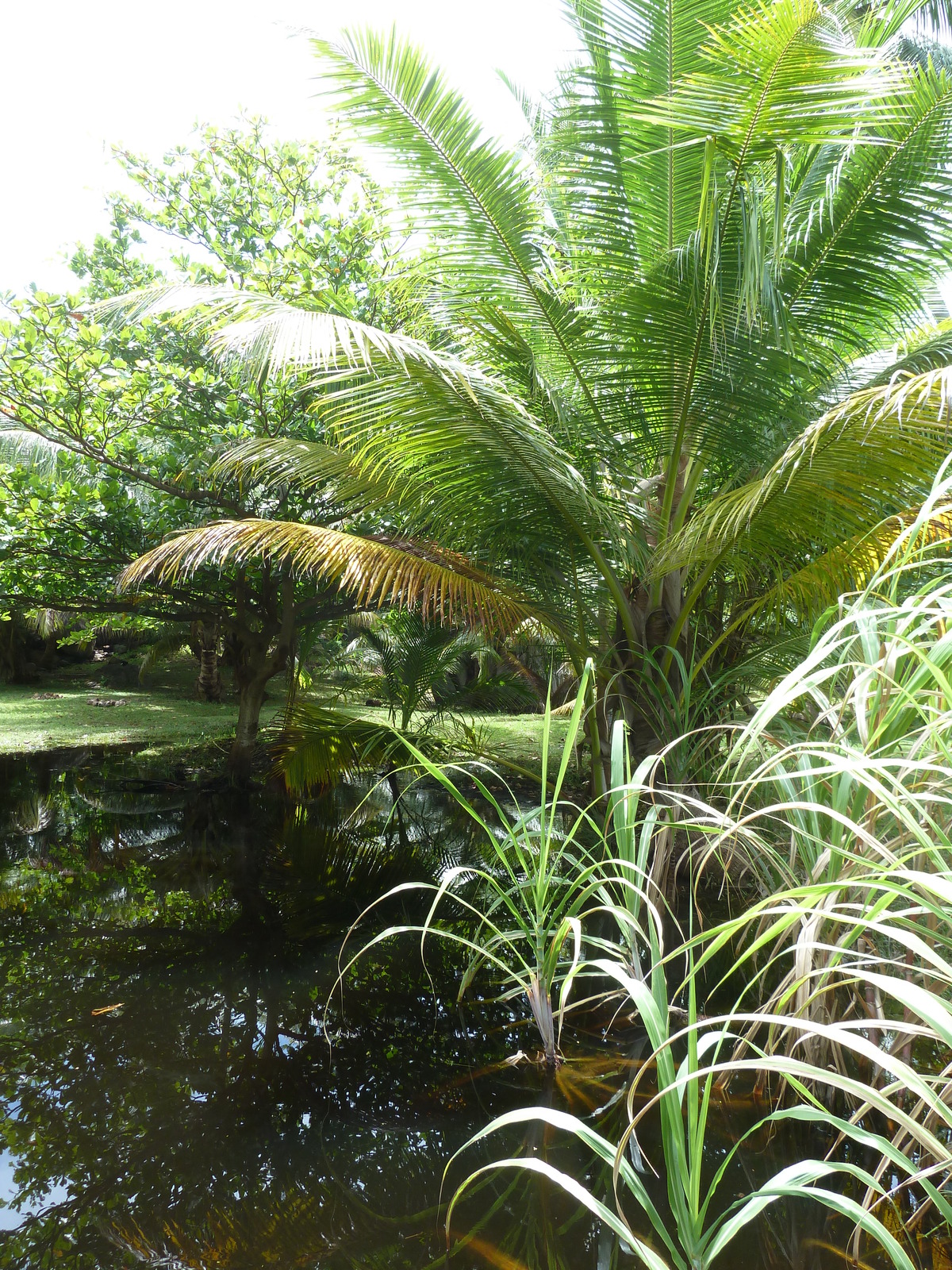 Picture Seychelles Grande Soeur 2011-10 95 - Road Grande Soeur