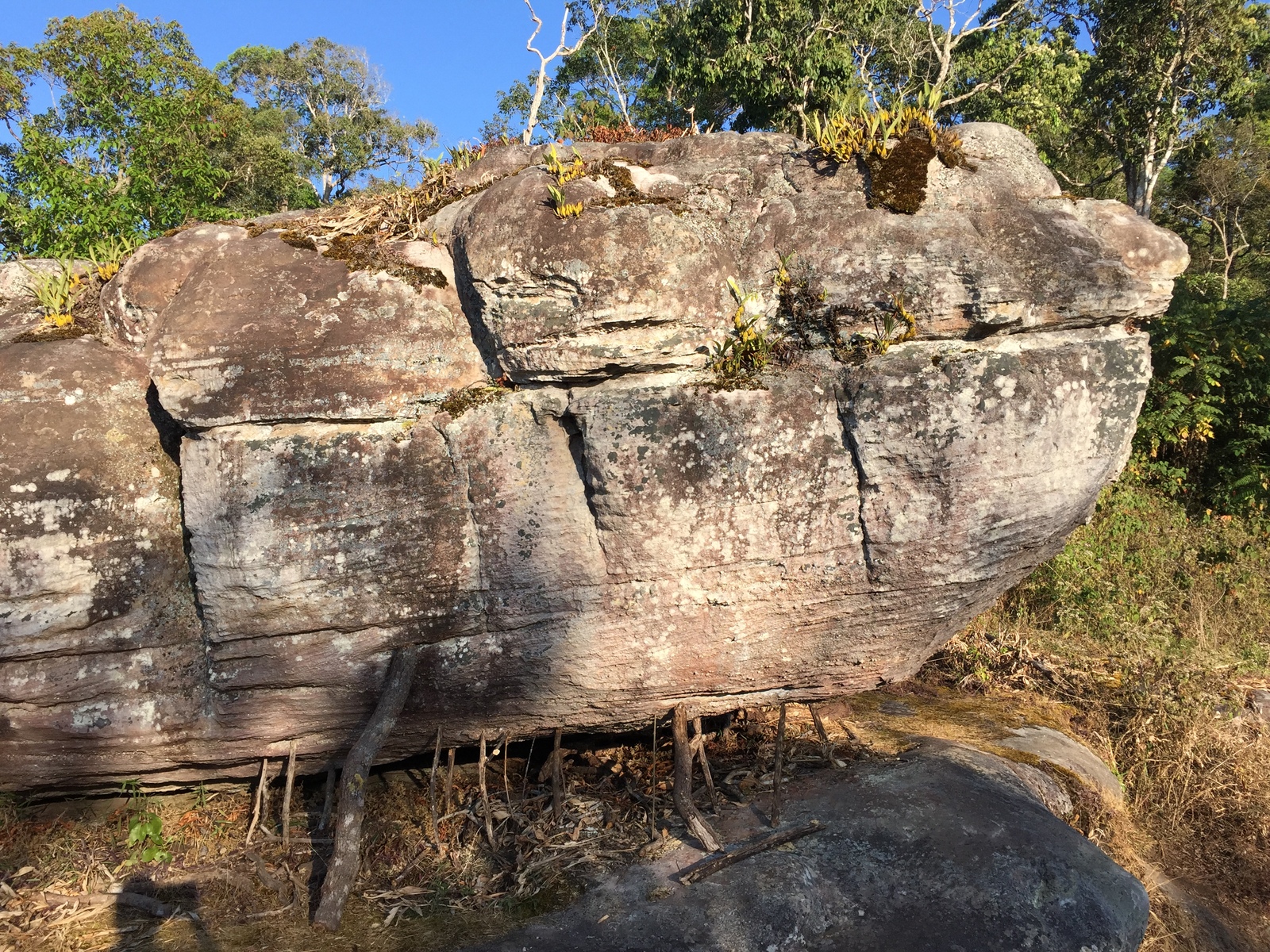 Picture Thailand Phu Hin Rong Kla National Park 2014-12 261 - Trip Phu Hin Rong Kla National Park