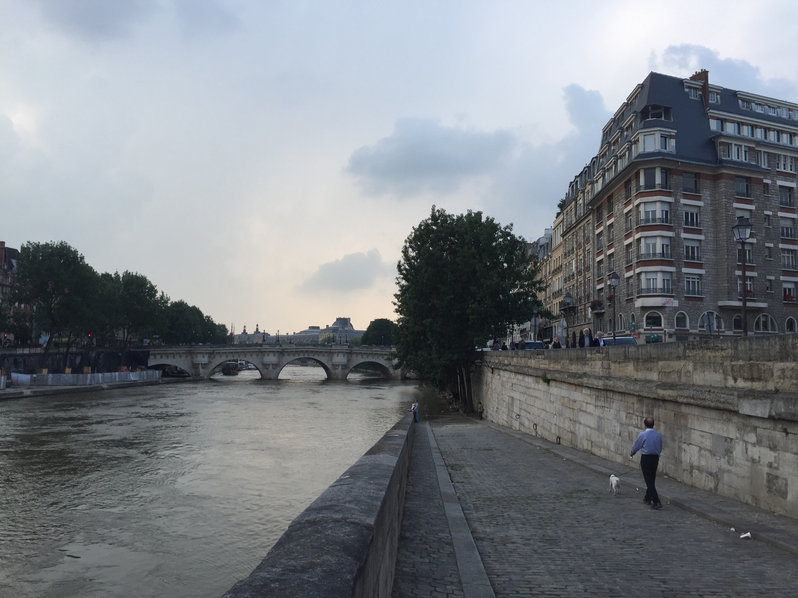 Picture France Paris Seine river 2016-06 20 - View Seine river