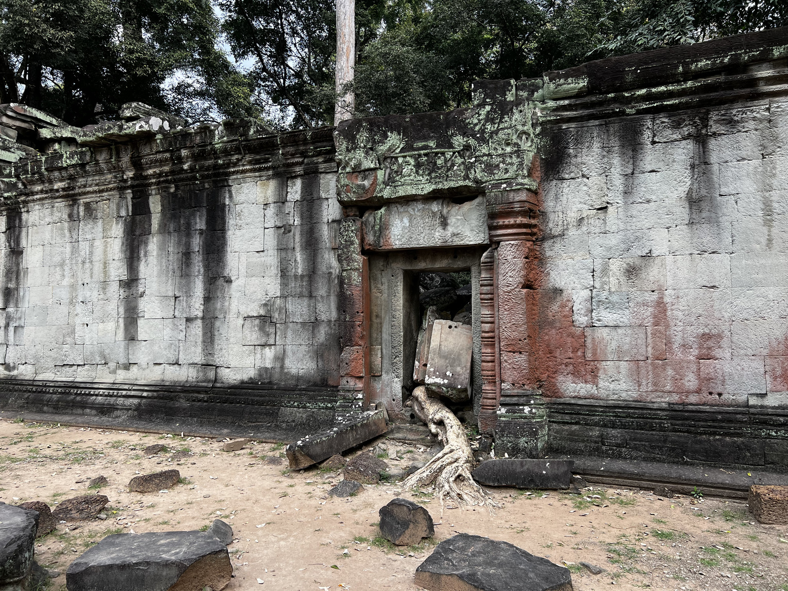 Picture Cambodia Siem Reap Ta Prohm 2023-01 140 - Car Ta Prohm