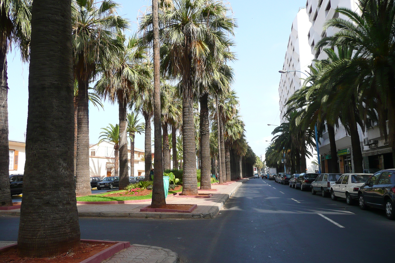 Picture Morocco Casablanca Casablanca Center 2008-07 110 - Photos Casablanca Center