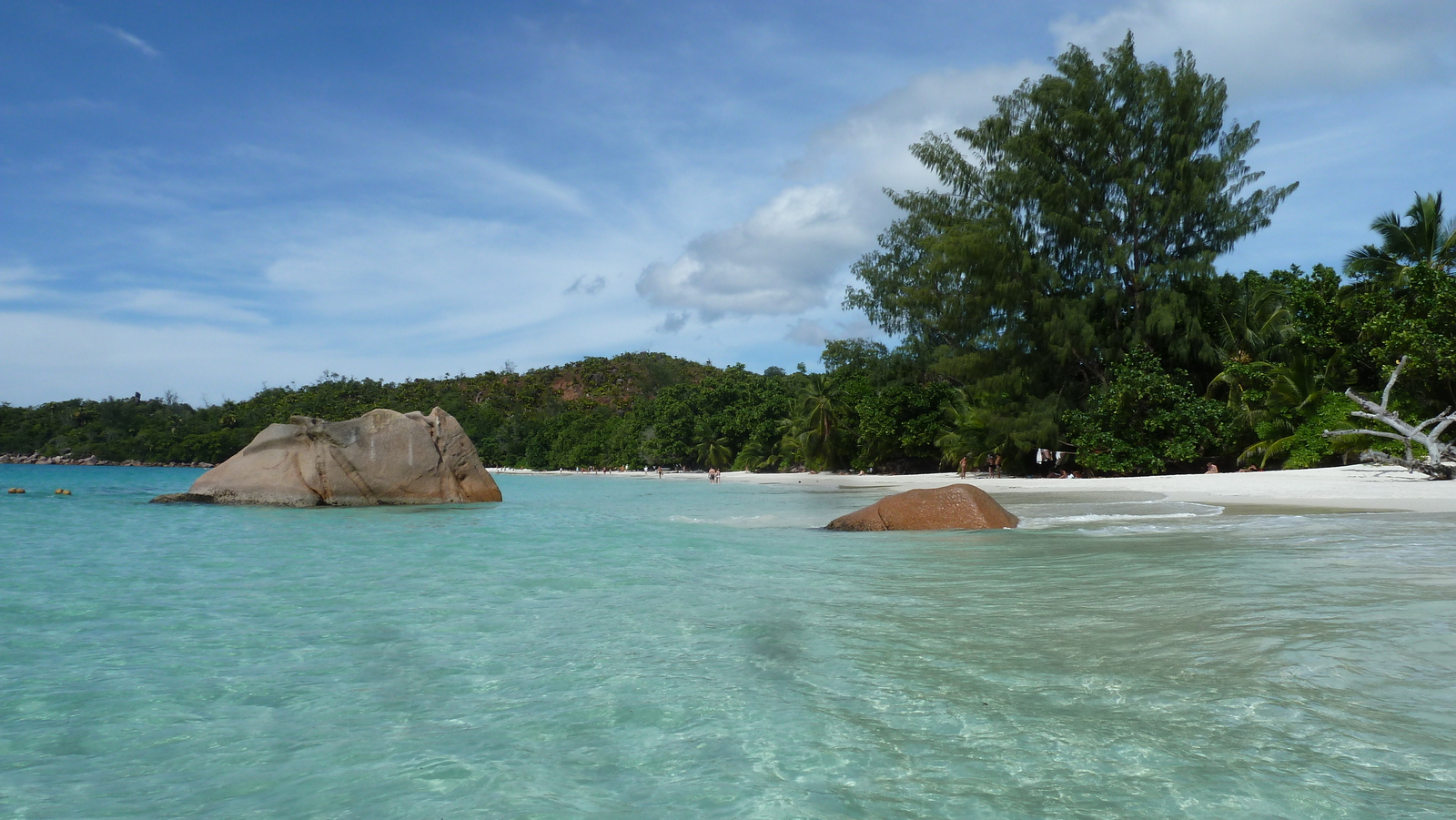 Picture Seychelles Anse Lazio 2011-10 161 - Flight Anse Lazio